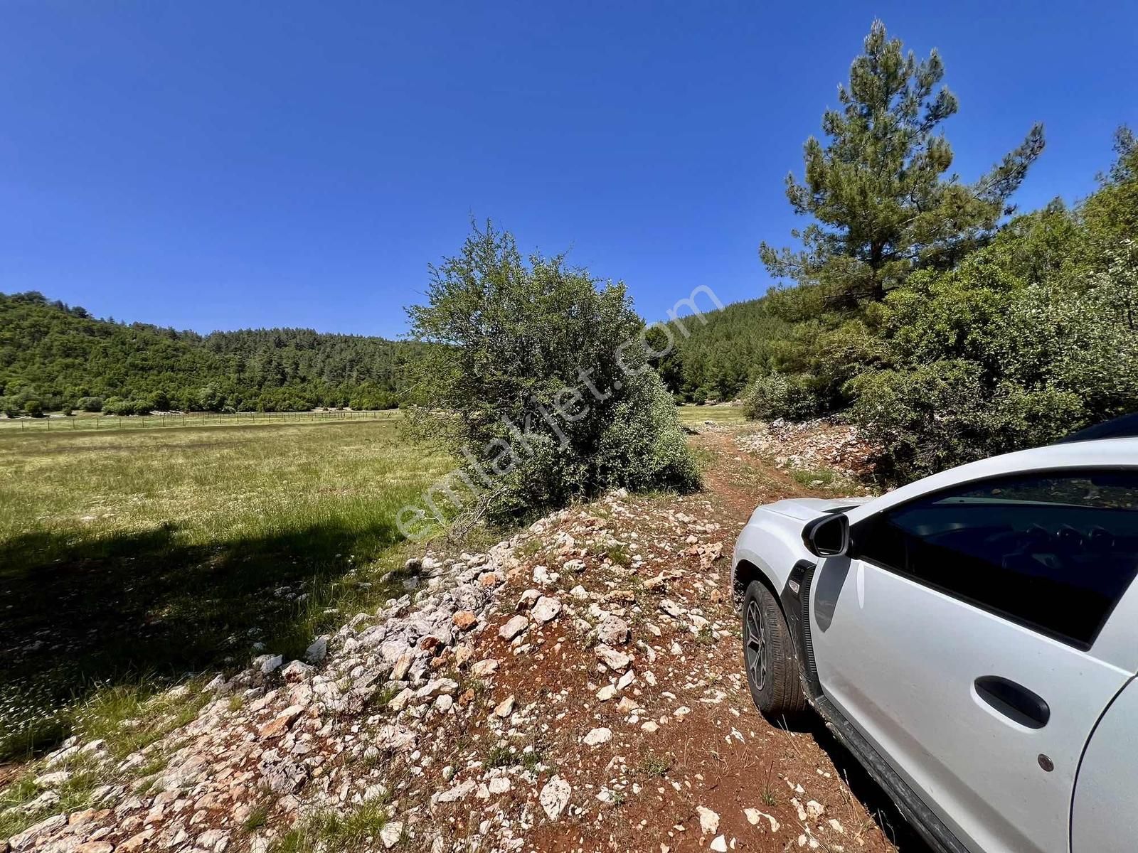 Kaş Sinneli 9.000 M2 Müstakil Tapu !! Bölgenin En Uygunu - Görsel 3