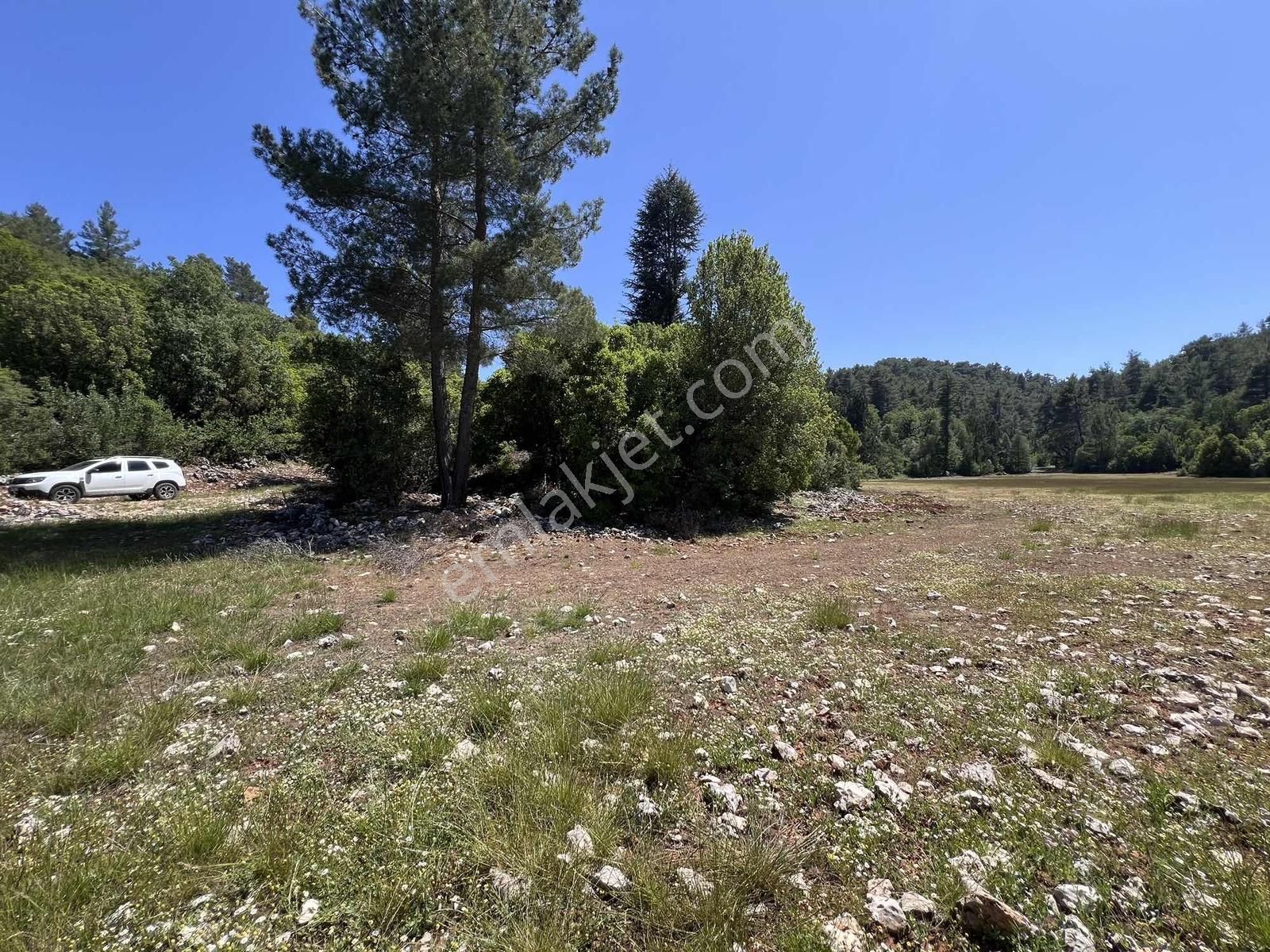 Kaş Sinneli 9.000 M2 Müstakil Tapu !! Bölgenin En Uygunu - Görsel 8