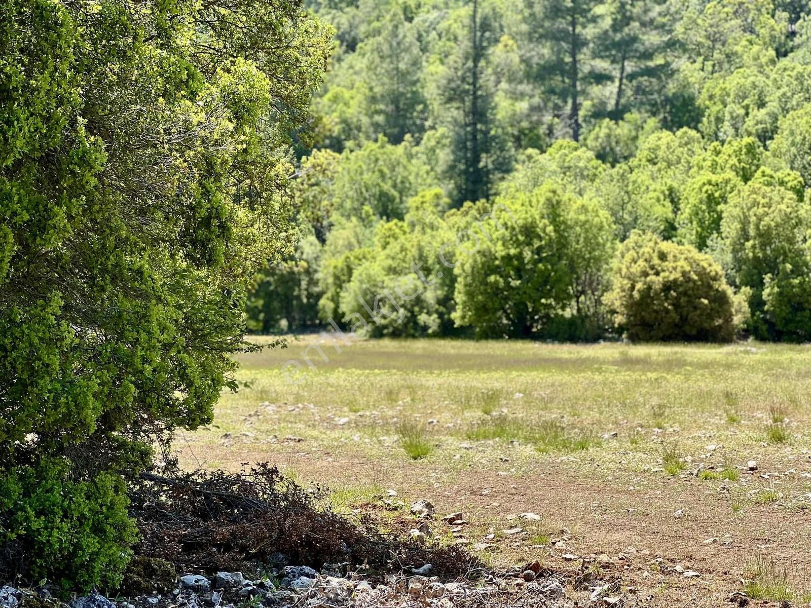 Kaş Sinneli 9.000 M2 Müstakil Tapu !! Bölgenin En Uygunu - Görsel 11