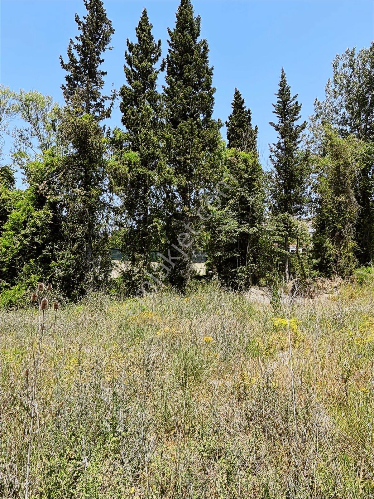 Rota'dan Çamçukur'da Satılık Deniz Manzaralı %5 İmarlı Arazi! - Görsel 13