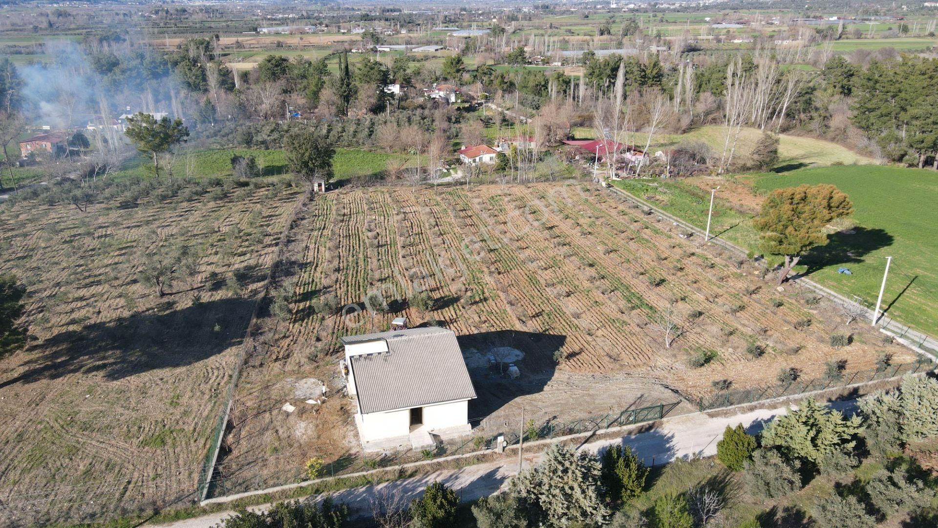 Safir'den Saklıkent'e Yakın Tek Tapu Satılık 6640m2 Arsa - Görsel 7