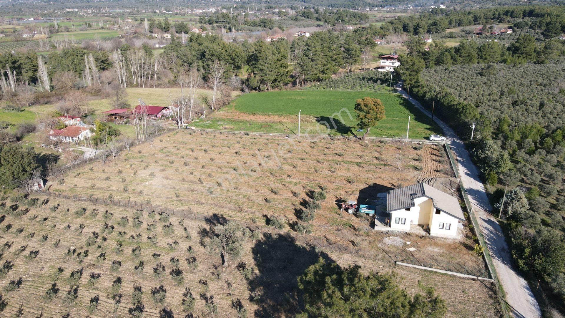 Safir'den Saklıkent'e Yakın Tek Tapu Satılık 6640m2 Arsa