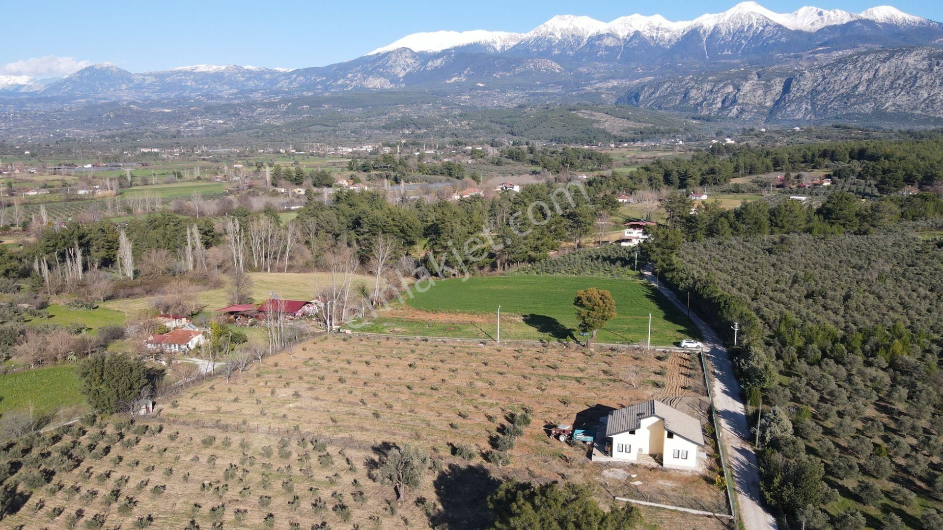 Safir'den Saklıkent'e Yakın Tek Tapu Satılık 6640m2 Arsa - Görsel 2