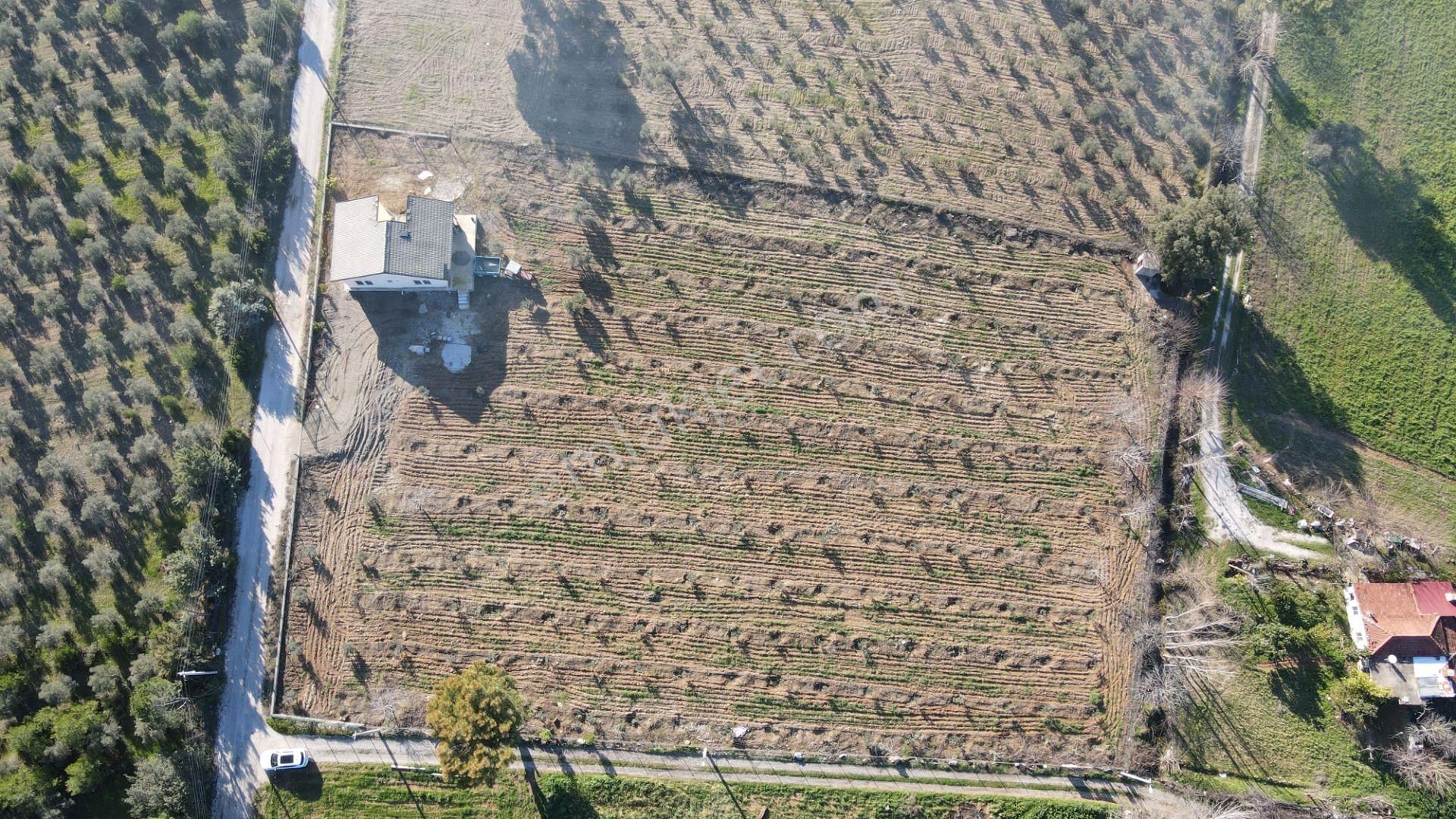 Safir'den Saklıkent'e Yakın Tek Tapu Satılık 6640m2 Arsa - Görsel 9