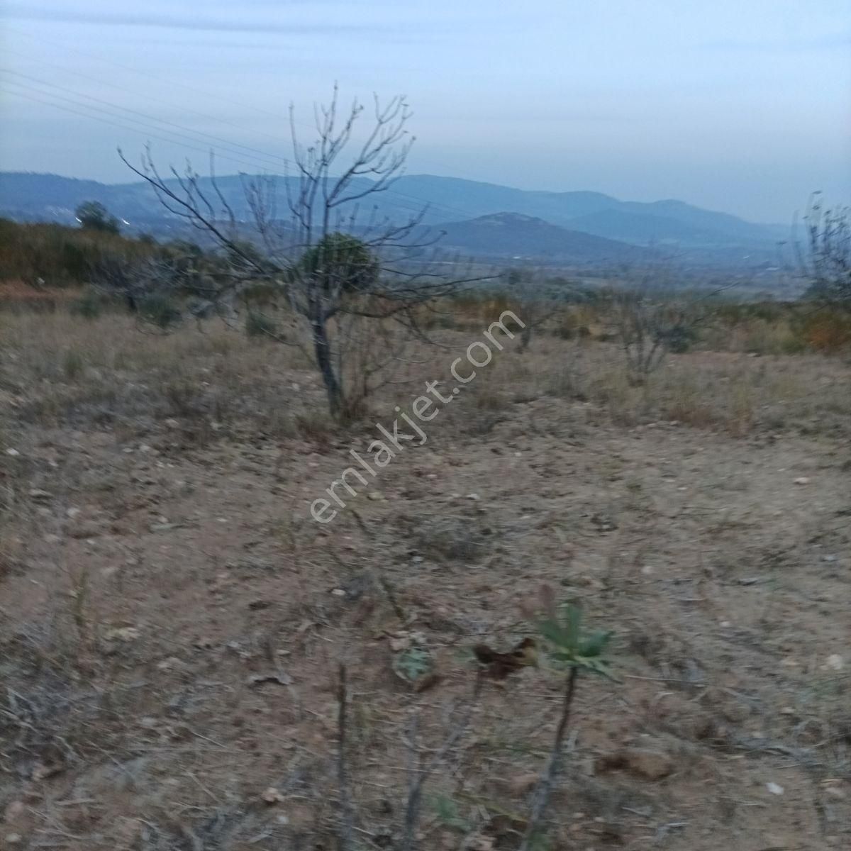 Tek Müstakil,fırsat Yer,miras Malıdır,acil Satılık Tarla, - Görsel 13