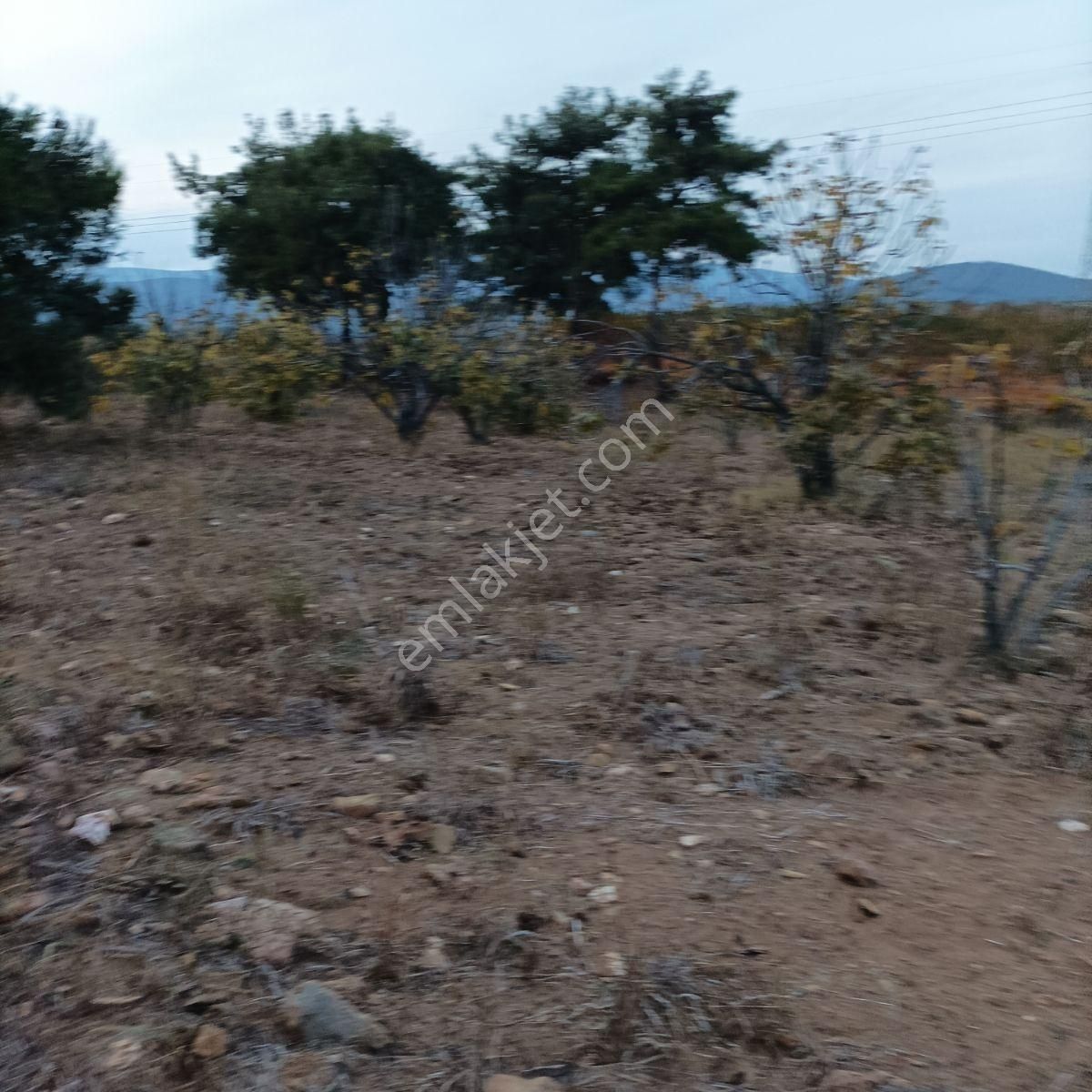 Tek Müstakil,fırsat Yer,miras Malıdır,acil Satılık Tarla, - Görsel 10