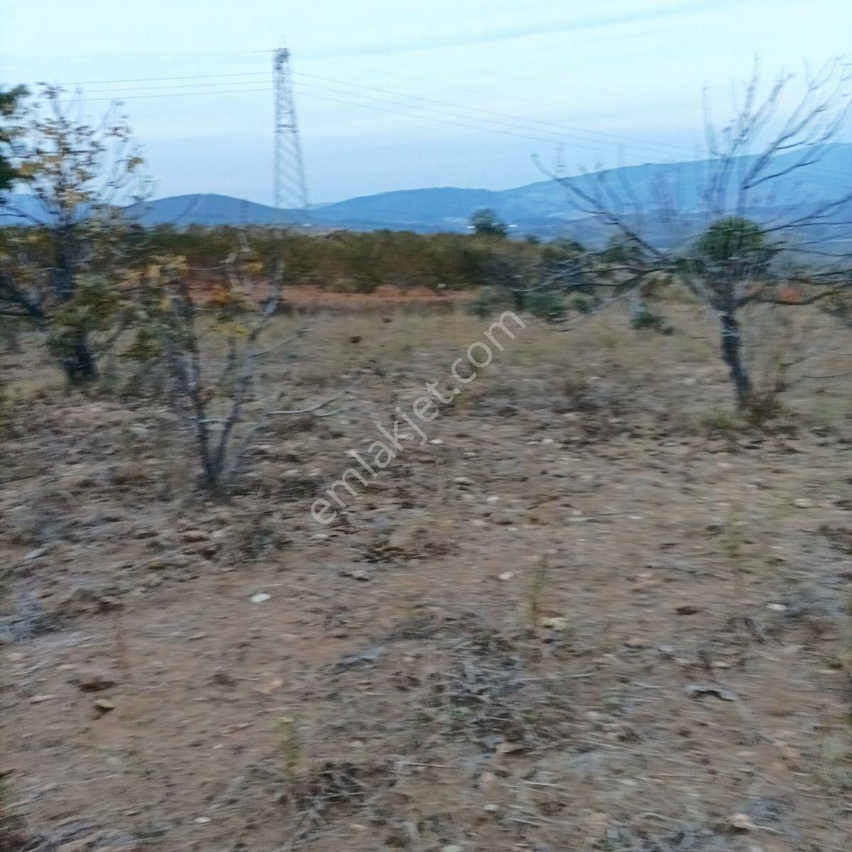 Tek Müstakil,fırsat Yer,miras Malıdır,acil Satılık Tarla, - Görsel 9