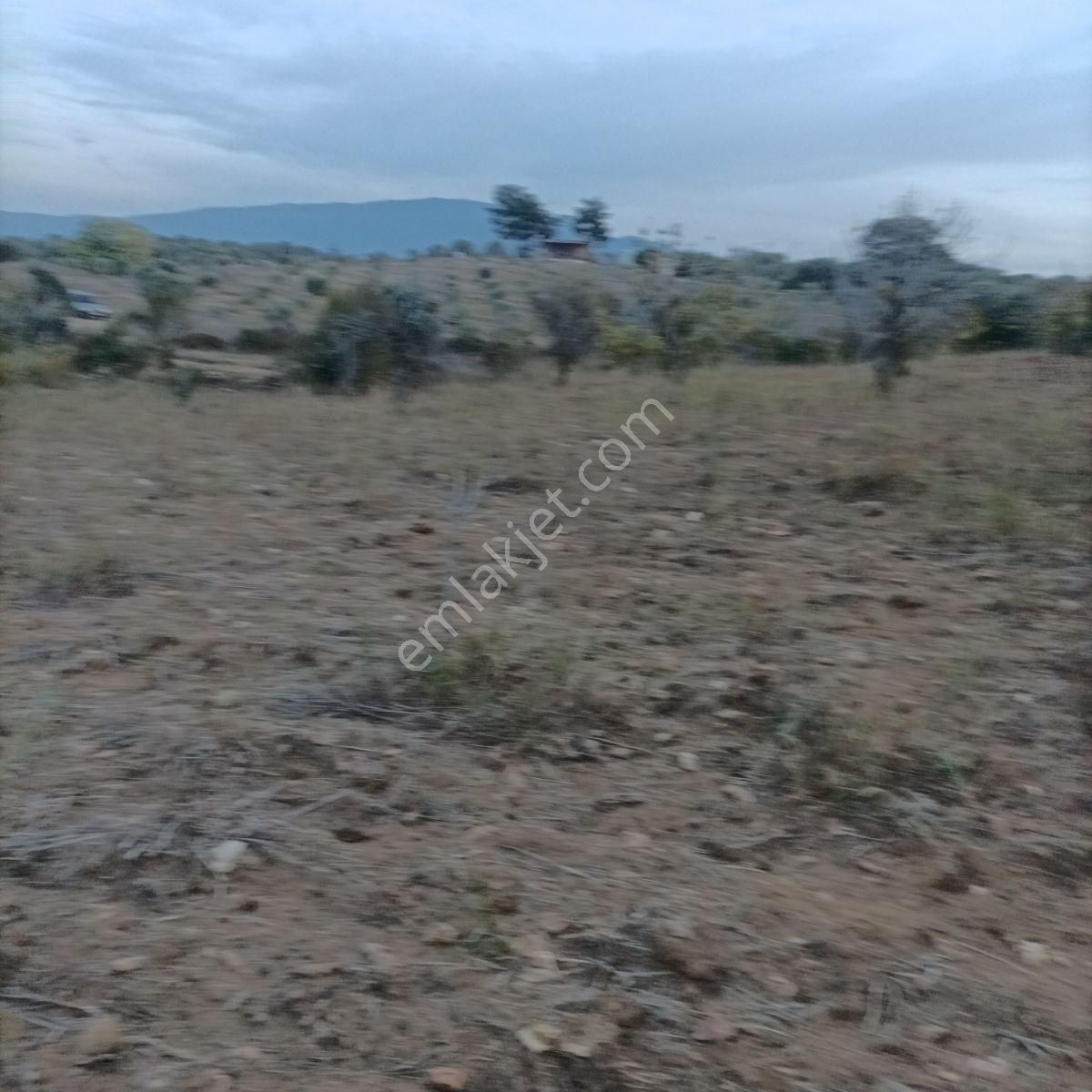 Tek Müstakil,fırsat Yer,miras Malıdır,acil Satılık Tarla, - Görsel 30