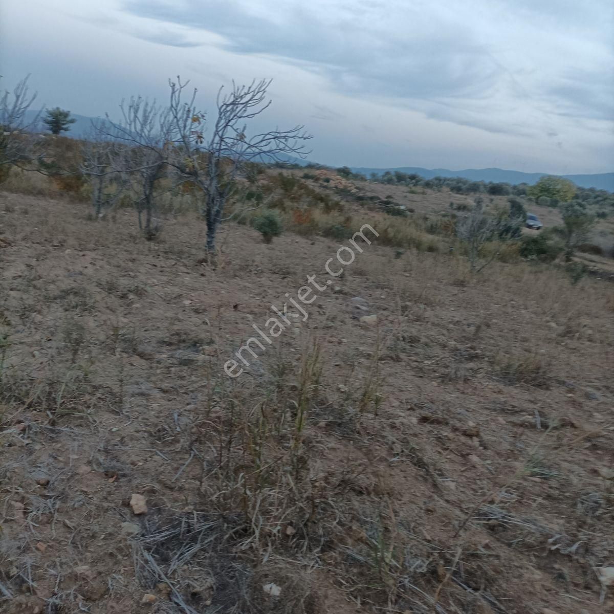 Tek Müstakil,fırsat Yer,miras Malıdır,acil Satılık Tarla, - Görsel 11
