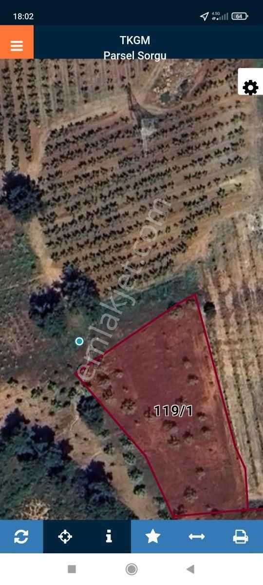 Tek Müstakil,fırsat Yer,miras Malıdır,acil Satılık Tarla, - Görsel 17