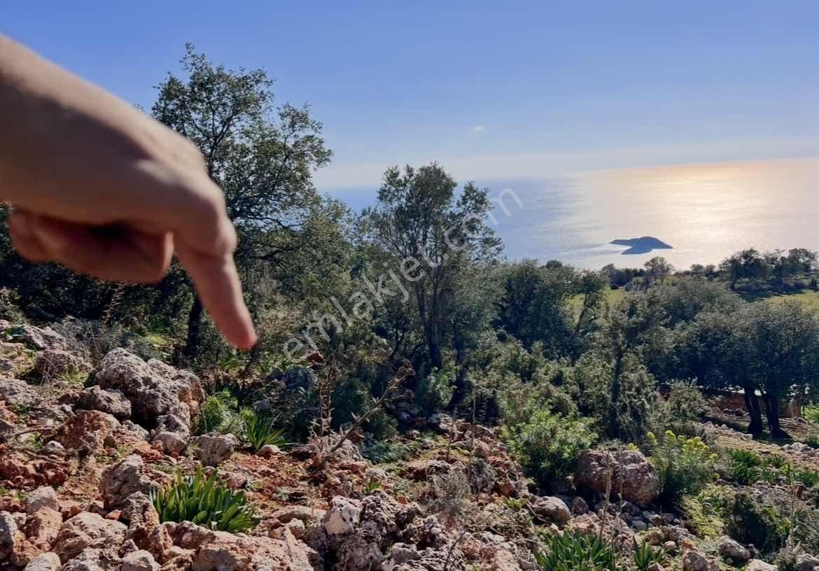 Kaş Kalkan Full Deniz Man. Sarıbelen 515 M2 Köşe Parsel - Görsel 4