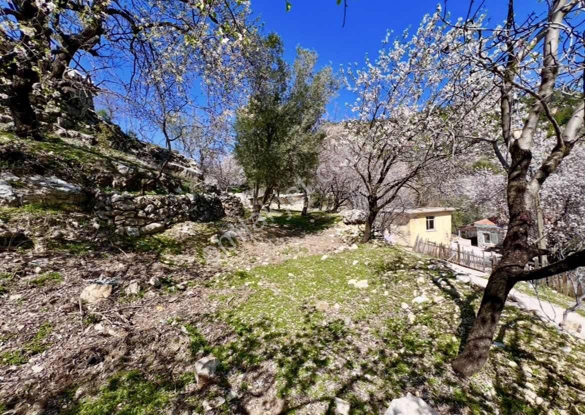 Kaş Akörü Girişinde 2 Adet Ev Ve 1.500 M2 İmarlı Parsel - Görsel 2