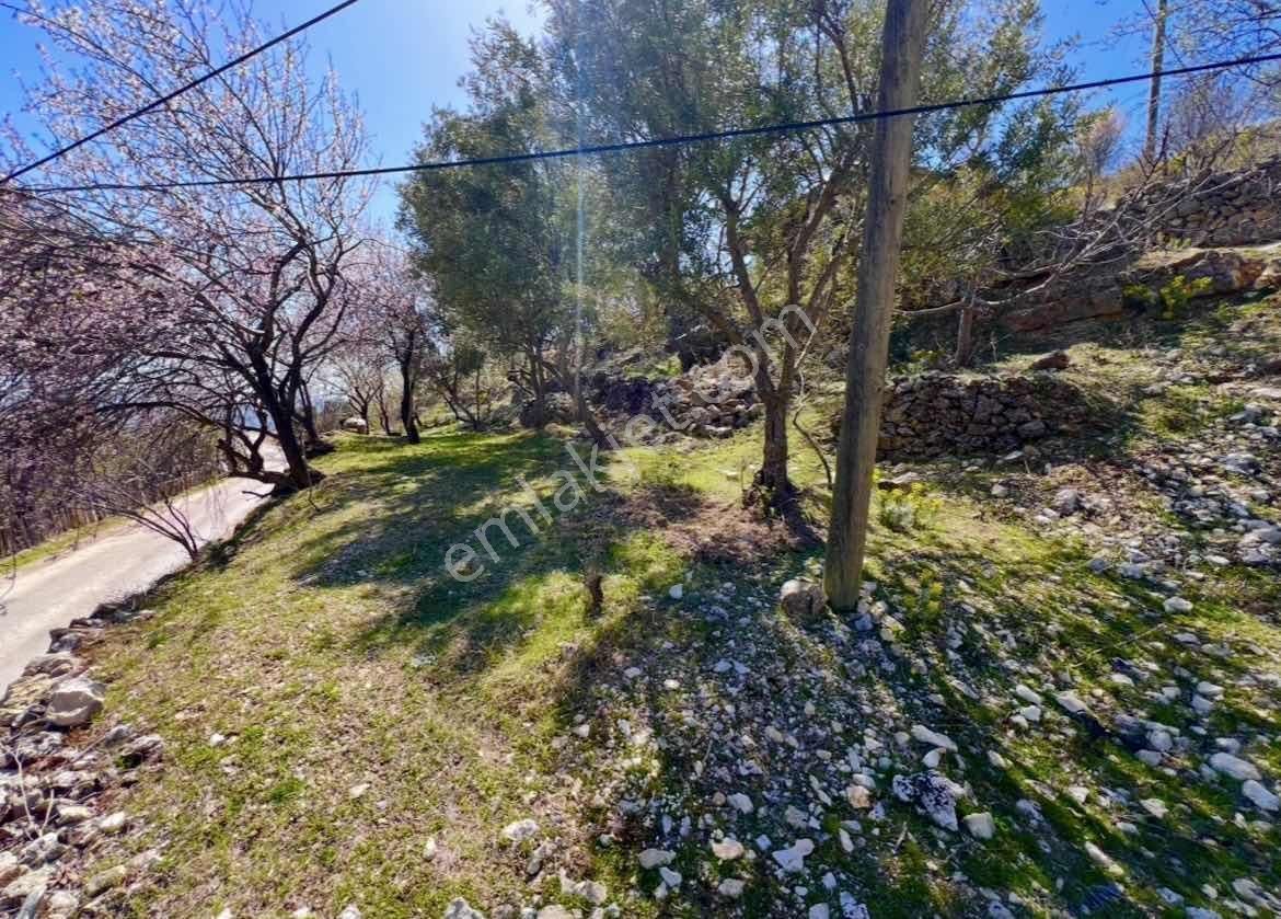 Kaş Akörü Girişinde 2 Adet Ev Ve 1.500 M2 İmarlı Parsel - Görsel 12