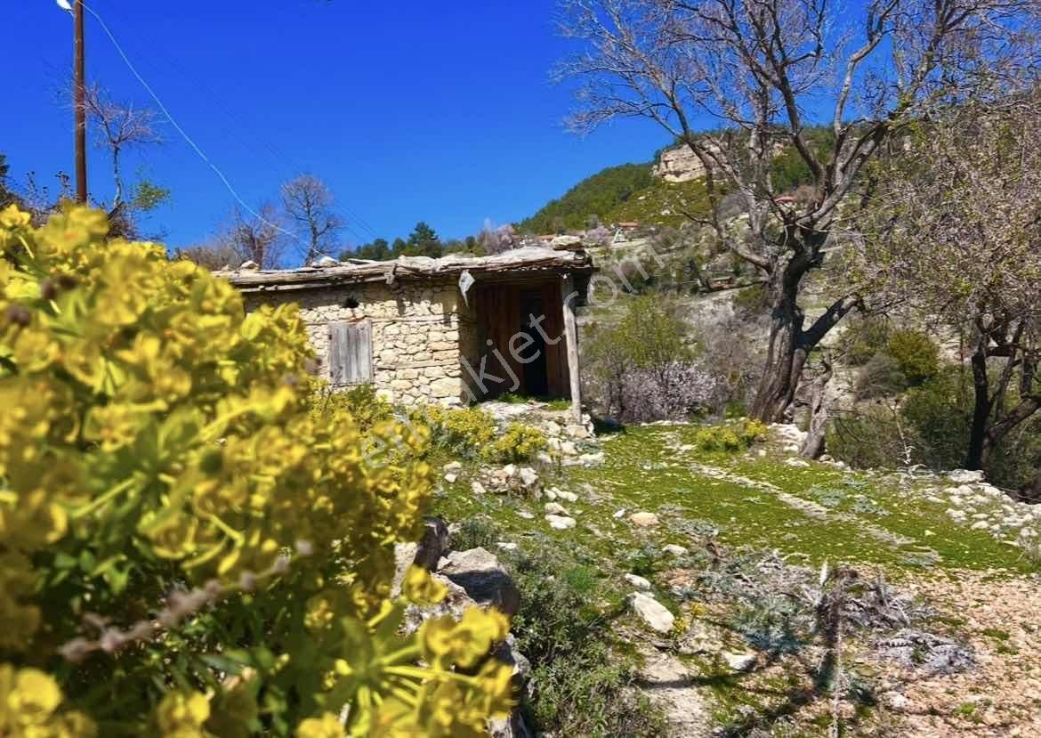 Kaş Akörü Girişinde 2 Adet Ev Ve 1.500 M2 İmarlı Parsel - Görsel 25