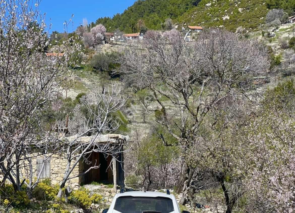 Kaş Akörü Girişinde 2 Adet Ev Ve 1.500 M2 İmarlı Parsel - Görsel 26