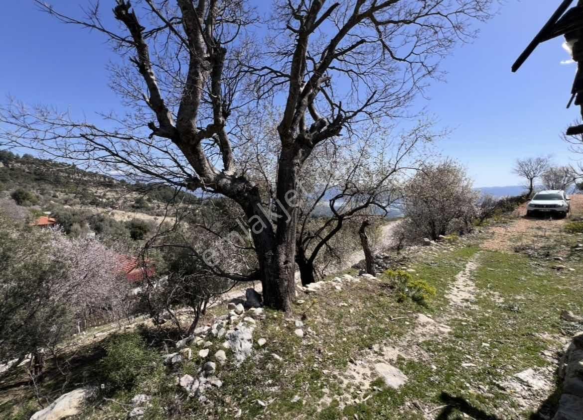 Kaş Akörü Girişinde 2 Adet Ev Ve 1.500 M2 İmarlı Parsel - Görsel 28