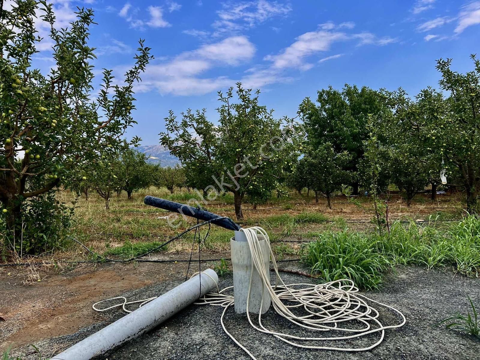 Elmalı Akçay 9.360 M2 Elma Bahçesi Müstakil Sontaj Sulu