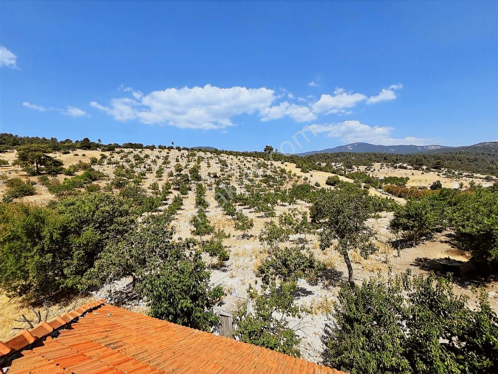 Kaş Mega Dan Akörü De Ev Ve 24.000 M2 Ceviz Bahçesi - Görsel 2