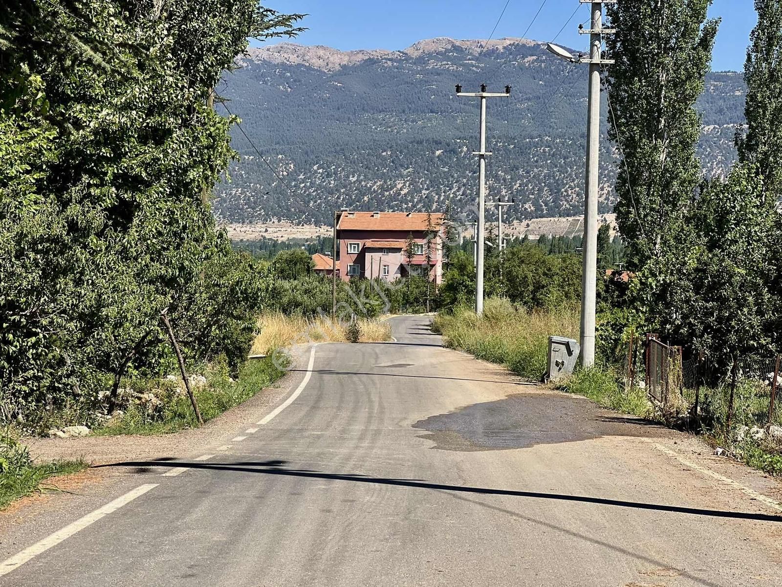 Kaş Gömbe De Elma Bahçesi Kurulu Düzen 16.000 M2 - Görsel 34