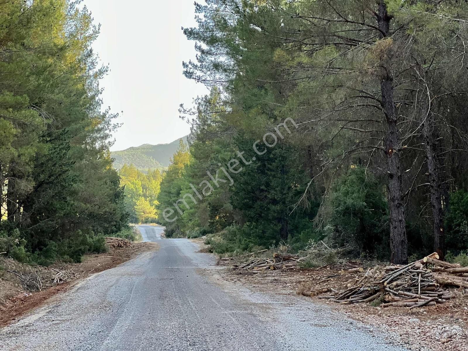 Kaş A 15 Dk Gökçeyazı 6.100 M2 İnşaat İzinli ( Sarılar Bölgesi ) - Görsel 11