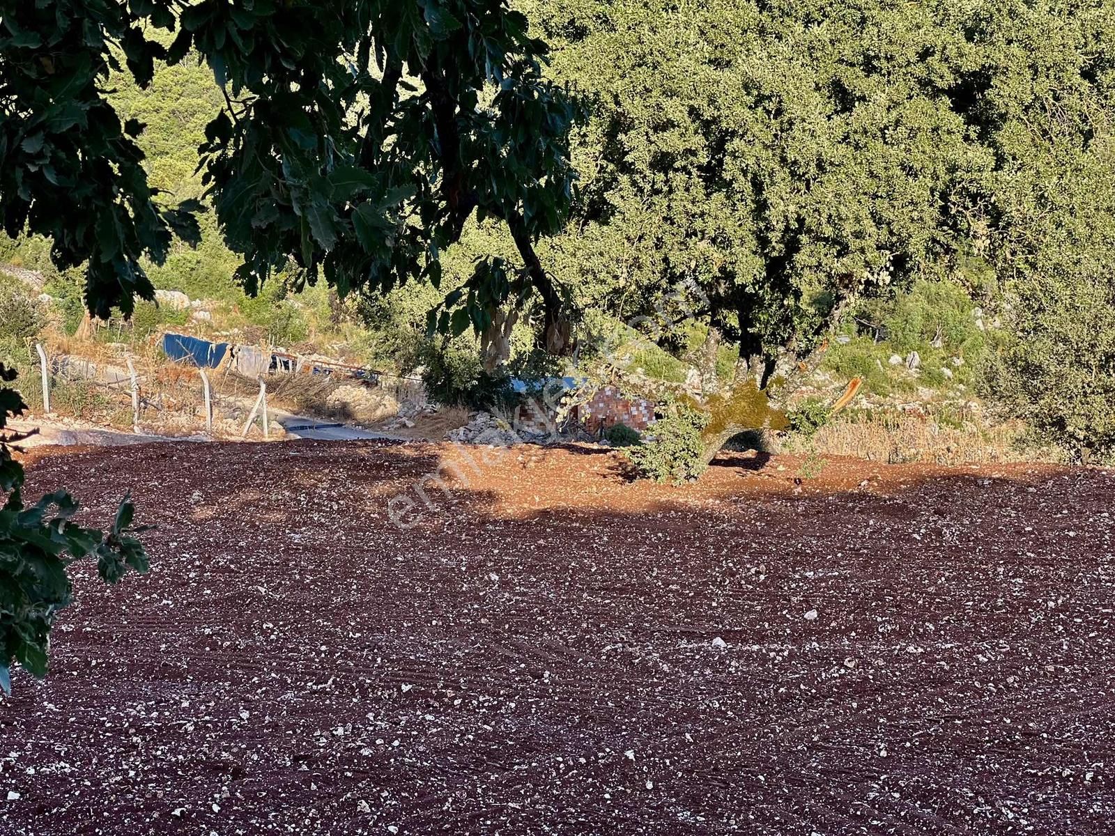 Kaş A 15 Dk Gökçeyazı 6.100 M2 İnşaat İzinli ( Sarılar Bölgesi ) - Görsel 21