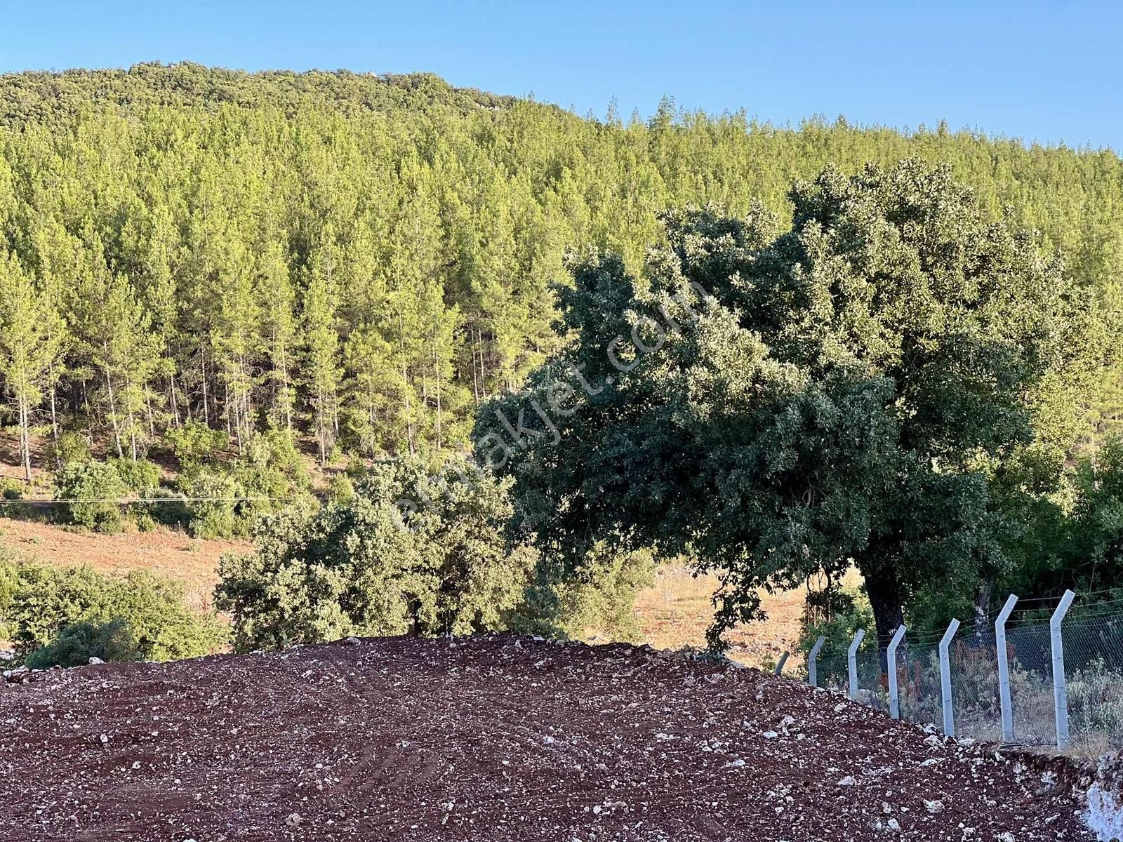 Kaş A 15 Dk Gökçeyazı 6.100 M2 İnşaat İzinli ( Sarılar Bölgesi ) - Görsel 4