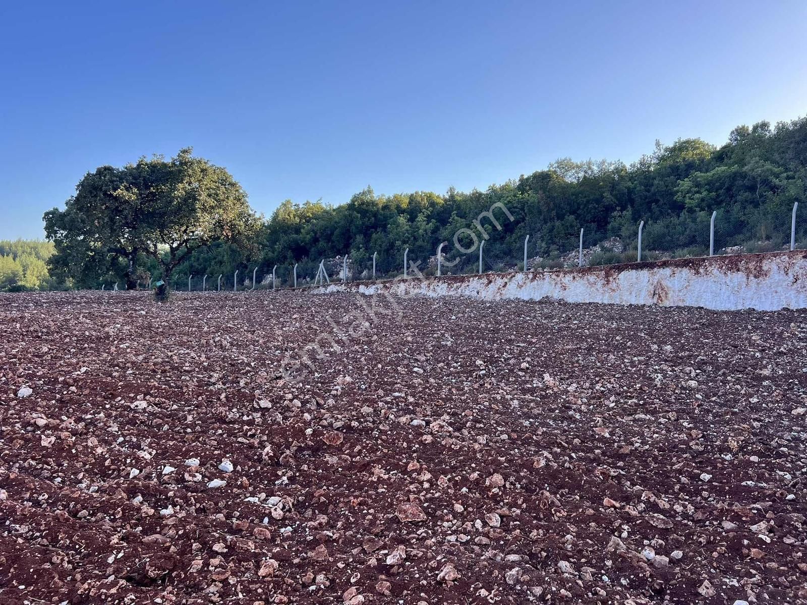 Kaş A 15 Dk Gökçeyazı 6.100 M2 İnşaat İzinli ( Sarılar Bölgesi ) - Görsel 5