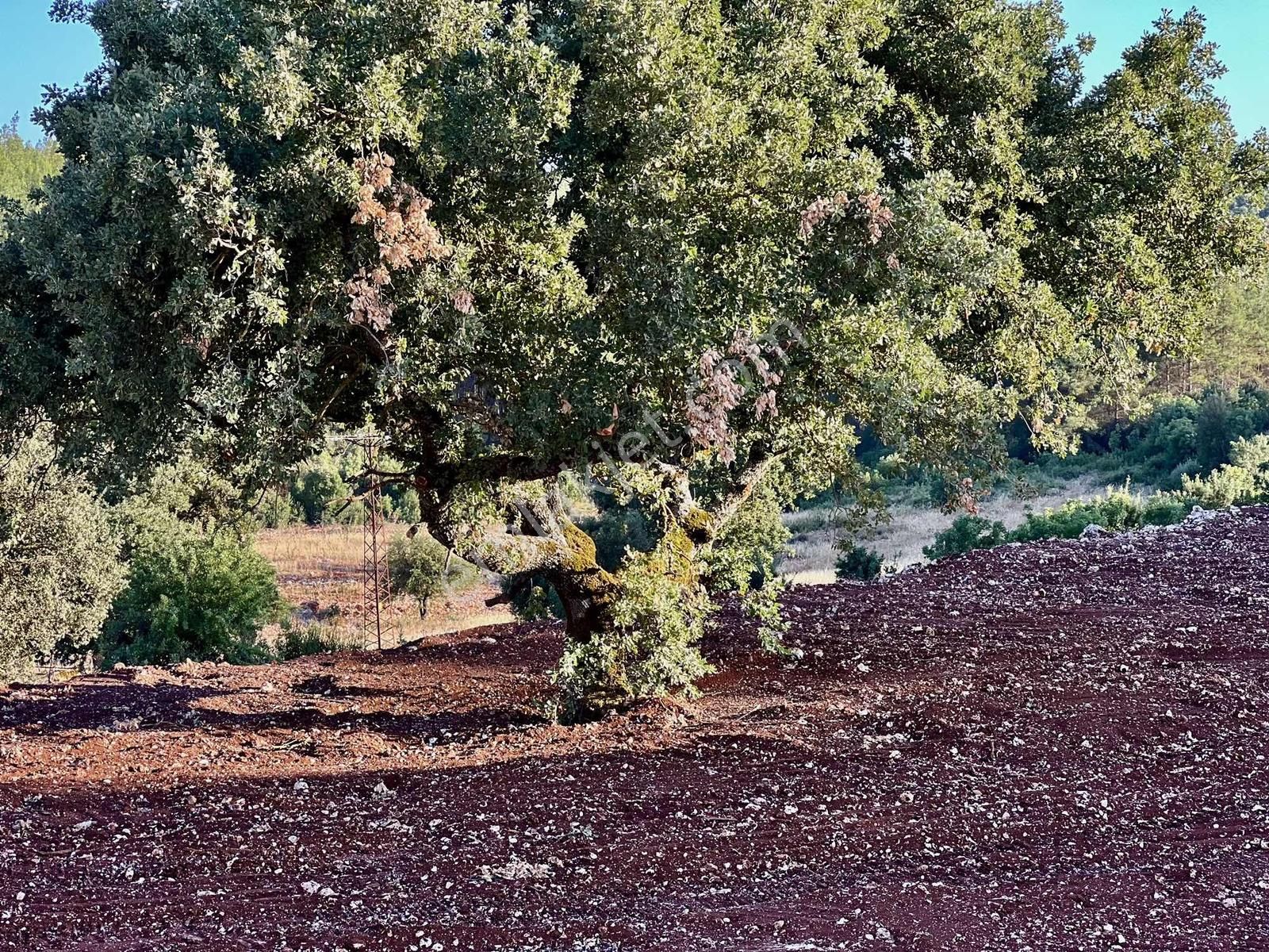 Kaş A 15 Dk Gökçeyazı 6.100 M2 İnşaat İzinli ( Sarılar Bölgesi ) - Görsel 24