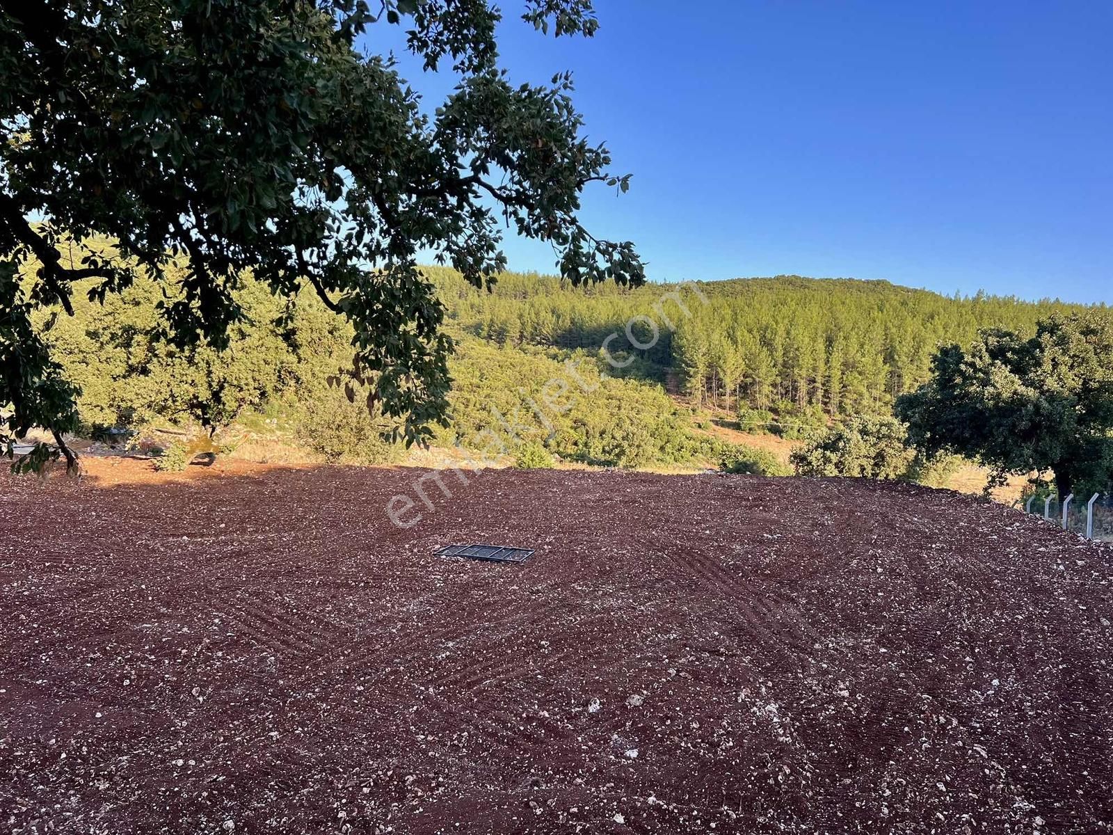 Kaş A 15 Dk Gökçeyazı 6.100 M2 İnşaat İzinli ( Sarılar Bölgesi ) - Görsel 8