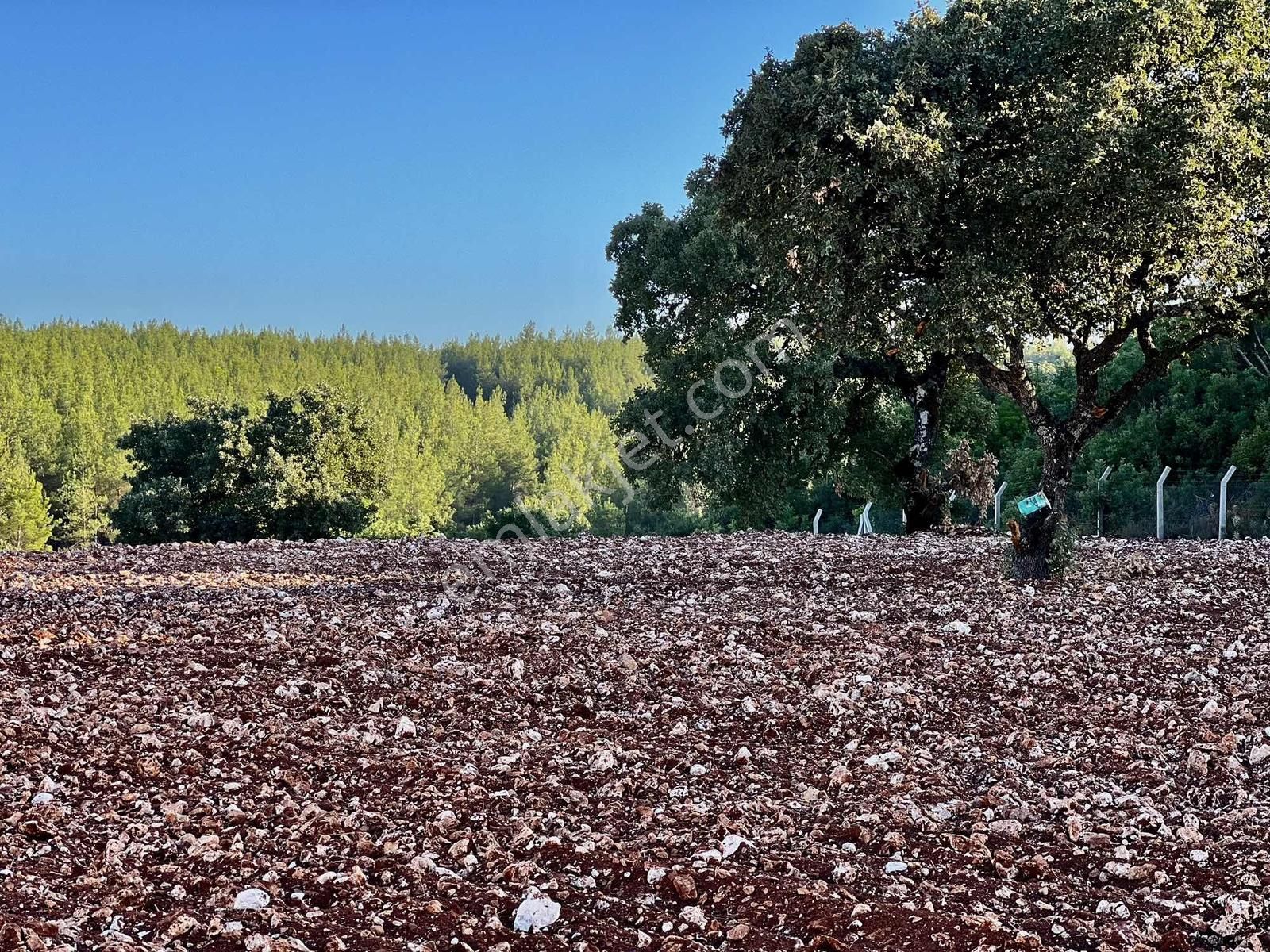 Kaş A 15 Dk Gökçeyazı 6.100 M2 İnşaat İzinli ( Sarılar Bölgesi ) - Görsel 6