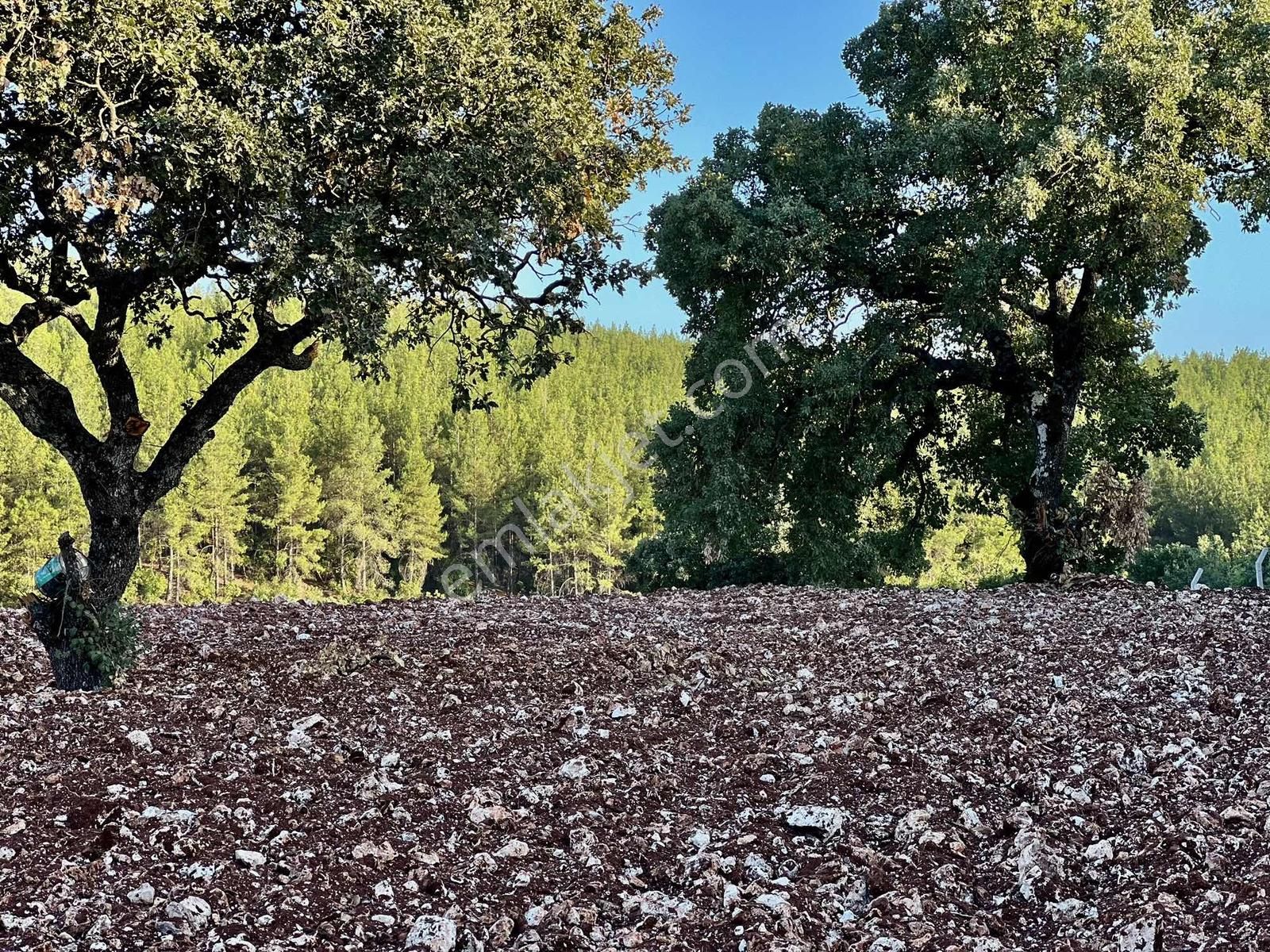 Kaş A 15 Dk Gökçeyazı 6.100 M2 İnşaat İzinli ( Sarılar Bölgesi ) - Görsel 9