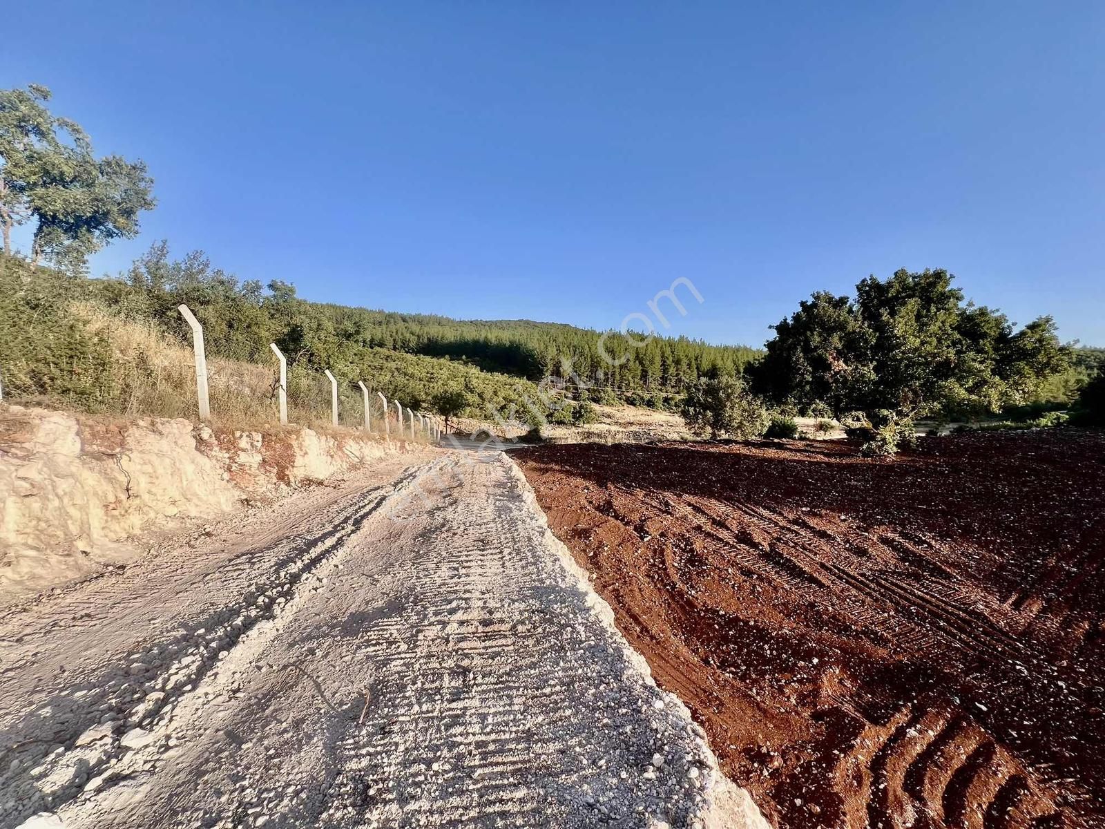 Kaş A 15 Dk Gökçeyazı 6.100 M2 İnşaat İzinli ( Sarılar Bölgesi ) - Görsel 14