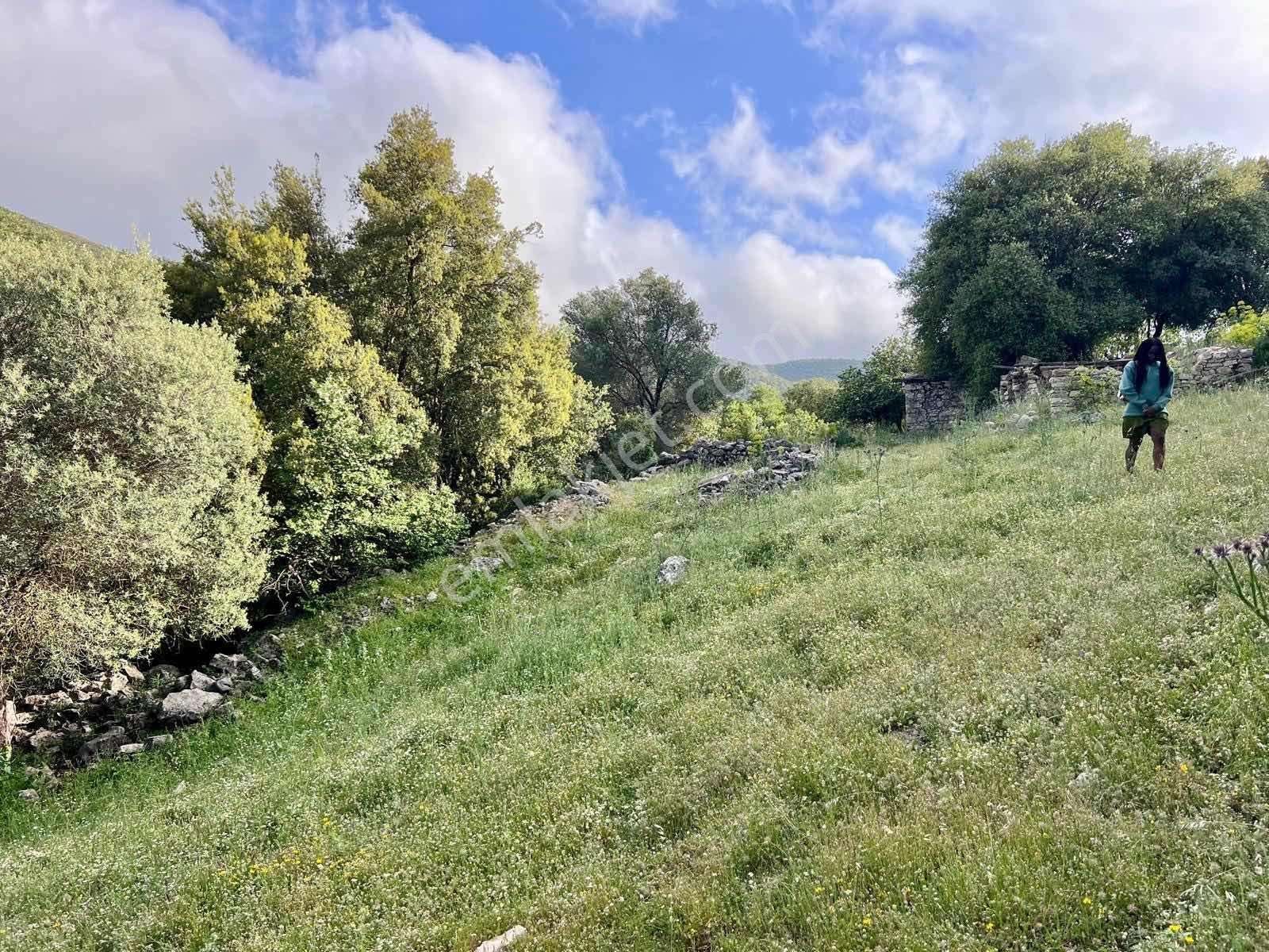 Kaş Ahatlı Ev Ve 1.100 M2 Bahçe Kaş A 15 Dk Müstakil Tapulu - Görsel 15