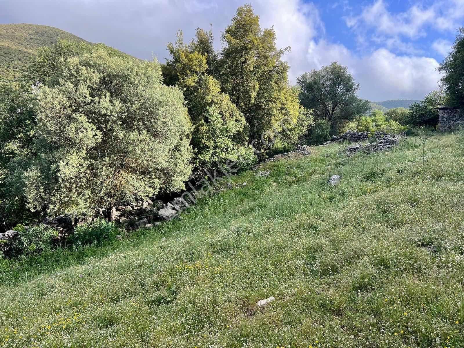 Kaş Ahatlı Ev Ve 1.100 M2 Bahçe Kaş A 15 Dk Müstakil Tapulu - Görsel 6