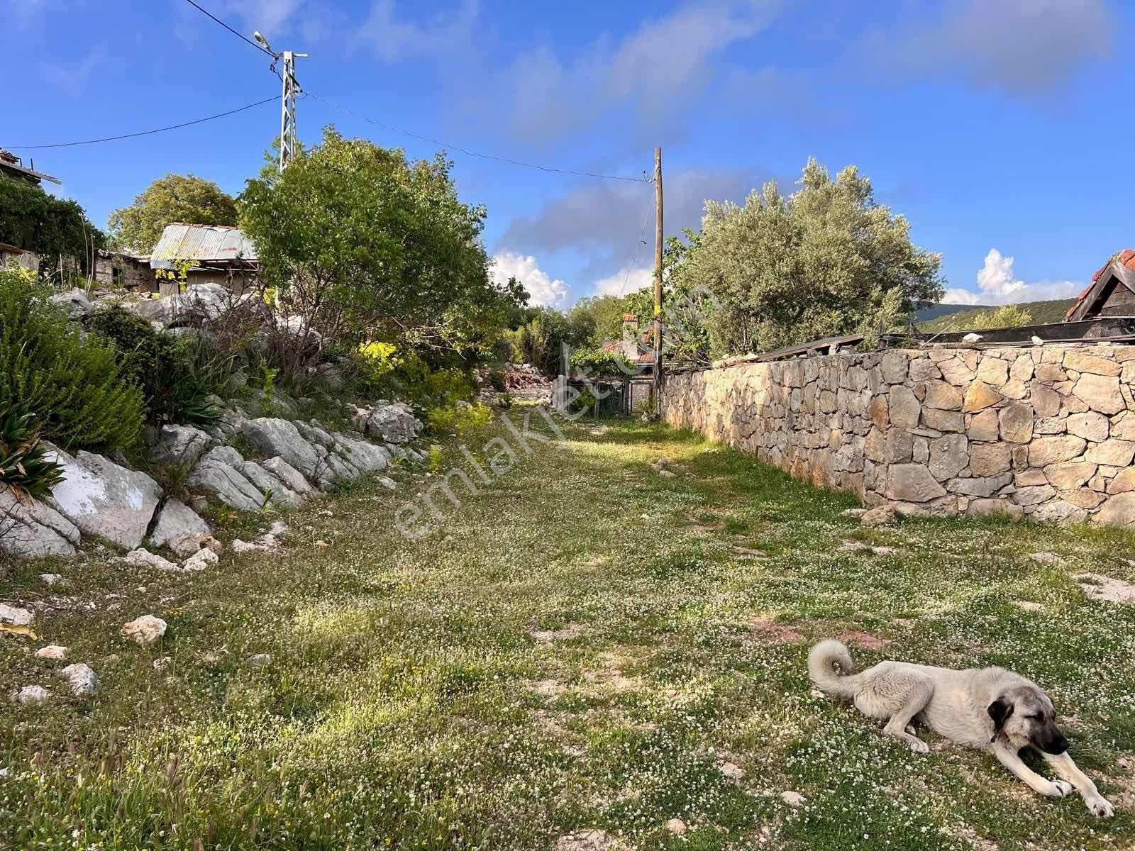 Kaş Ahatlı Ev Ve 1.100 M2 Bahçe Kaş A 15 Dk Müstakil Tapulu - Görsel 7