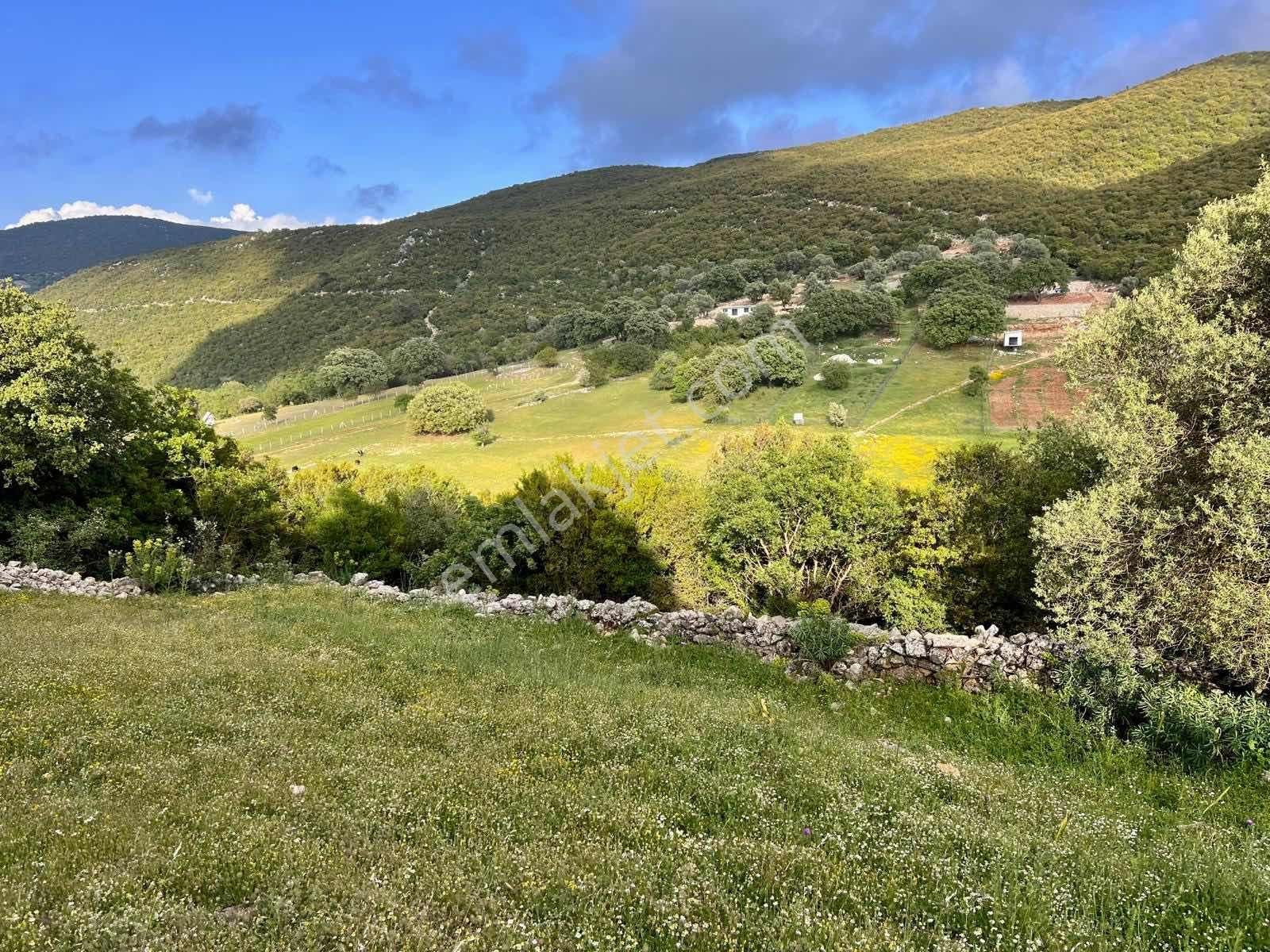 Kaş Ahatlı Ev Ve 1.100 M2 Bahçe Kaş A 15 Dk Müstakil Tapulu - Görsel 27