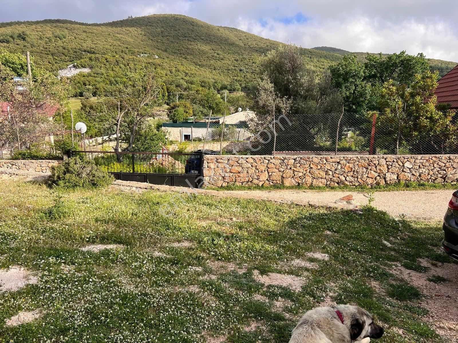 Kaş Ahatlı Ev Ve 1.100 M2 Bahçe Kaş A 15 Dk Müstakil Tapulu - Görsel 18