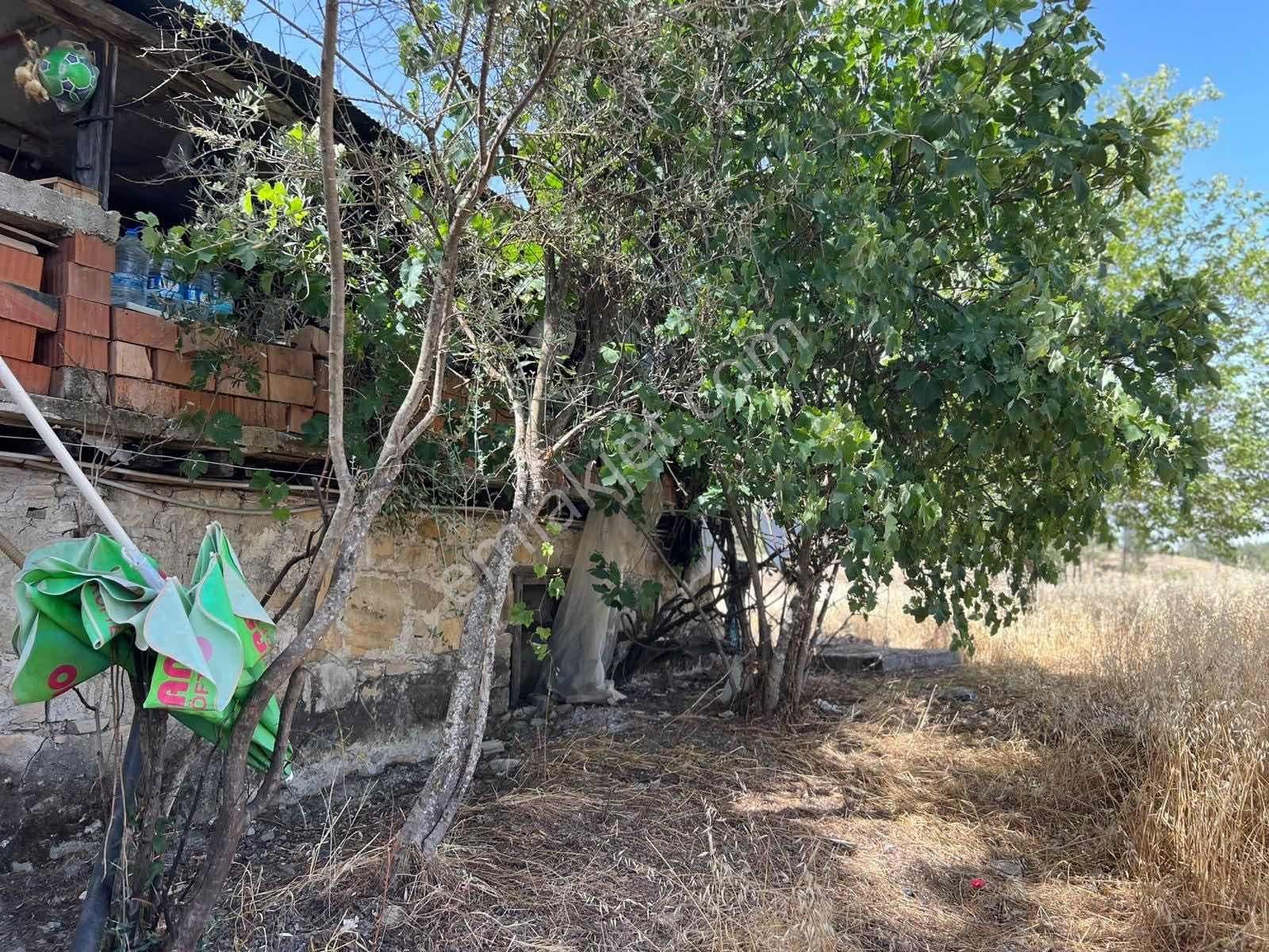 Kaş Kasaba Da 3.000 M2 İmarlı Parsel Ve Taş Ev - Görsel 6