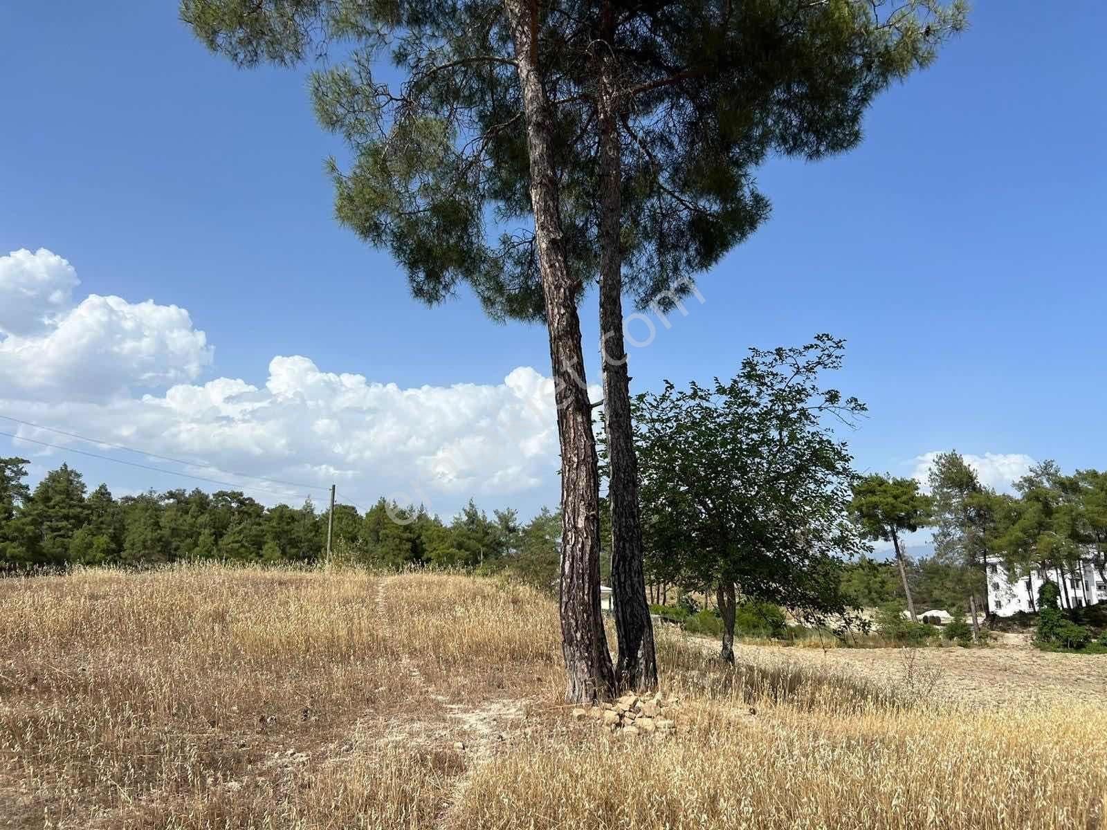 Kaş Kasaba Da 3.000 M2 İmarlı Parsel Ve Taş Ev - Görsel 10