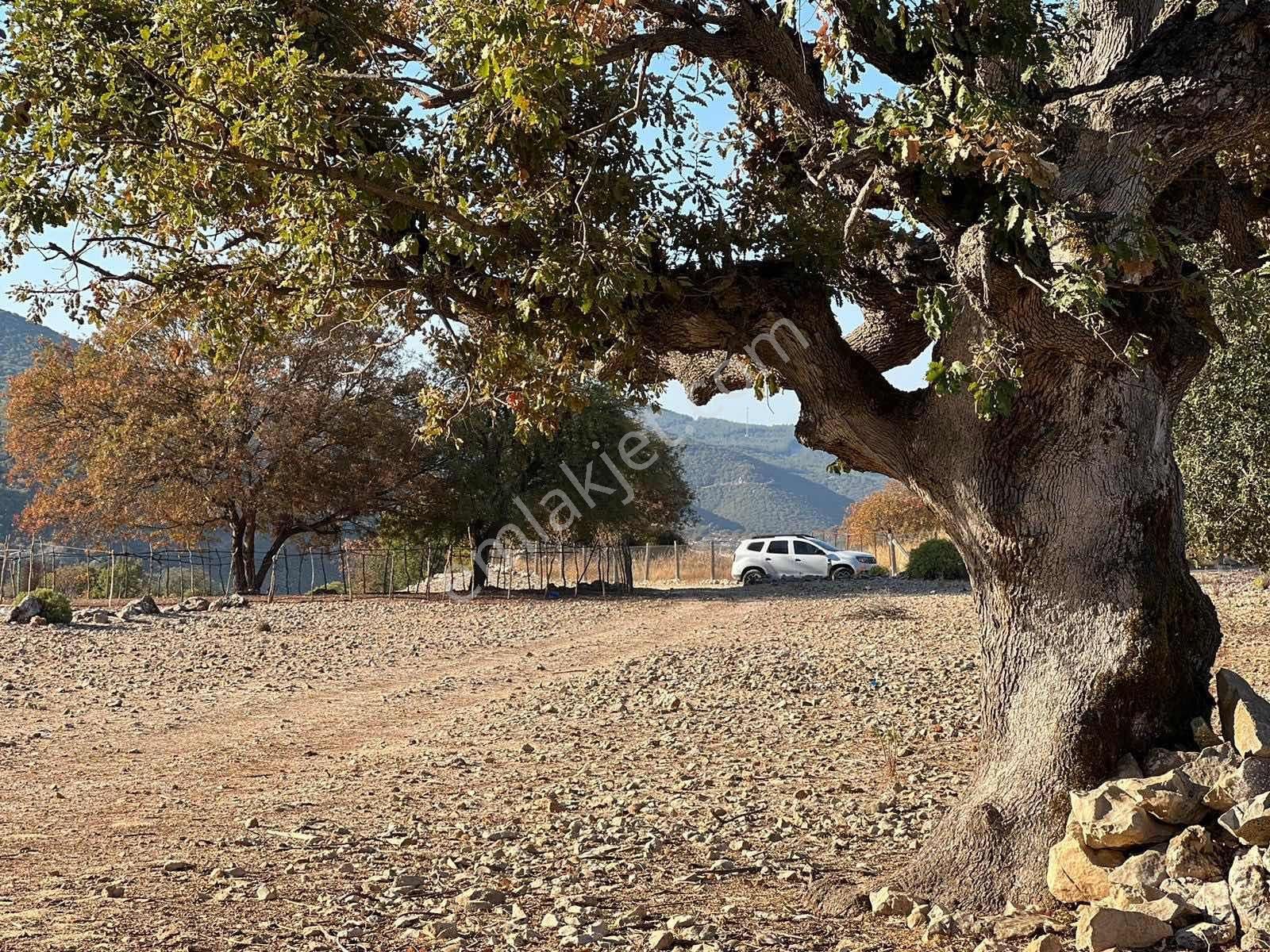 Kaş Ahatlı Mahallesi 1.000 M2 Müstakil Parsel