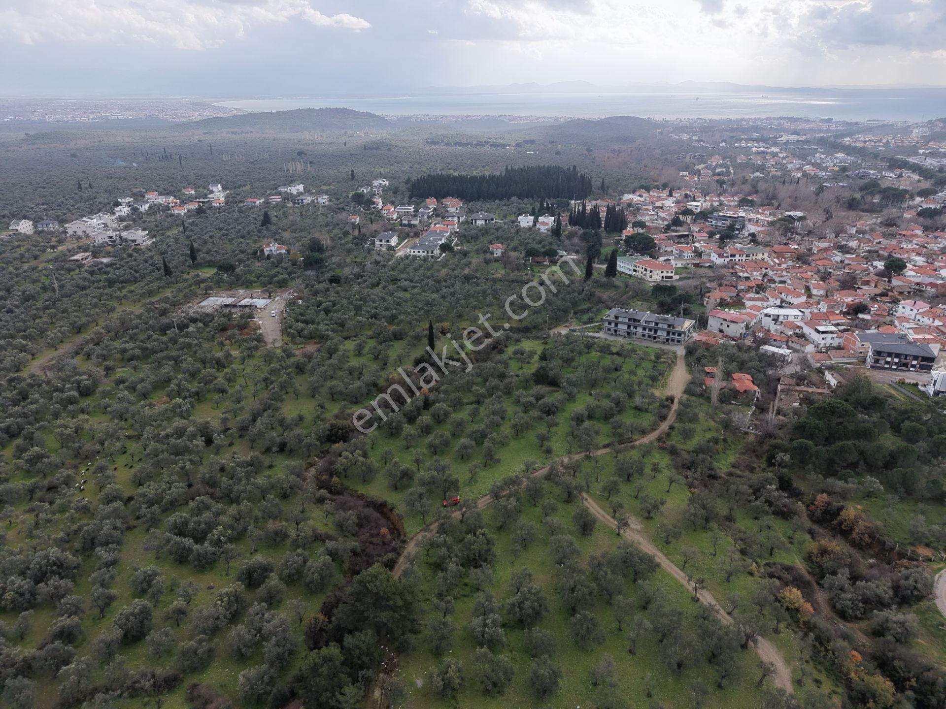 ▀▄mera Emlaktan Kazdağları Güre Mah. 2 Villalık 462m2 Net Arsa - Görsel 15
