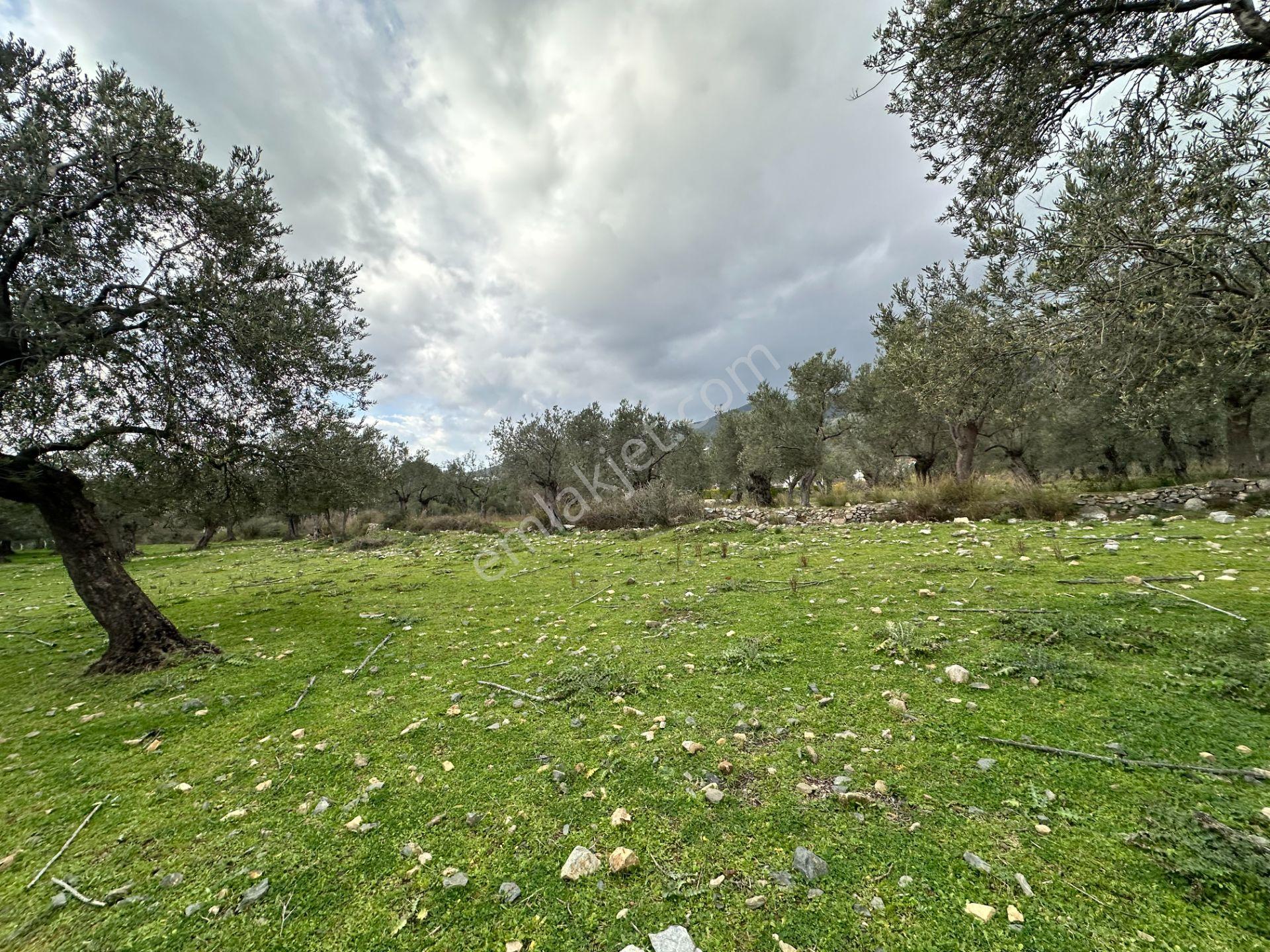 ▀▄mera Emlaktan Kazdağları Güre Mah. 2 Villalık 462m2 Net Arsa - Görsel 33