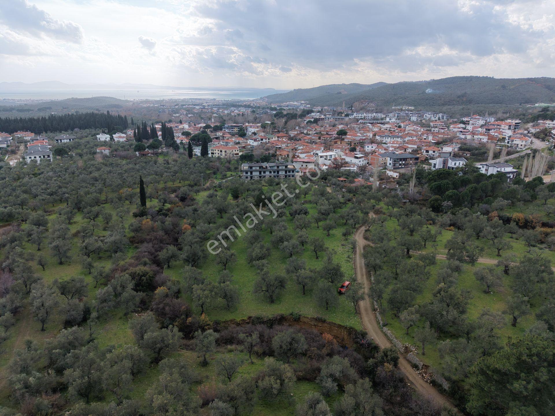 ▀▄mera Emlaktan Kazdağları Güre Mah. 2 Villalık 462m2 Net Arsa - Görsel 7