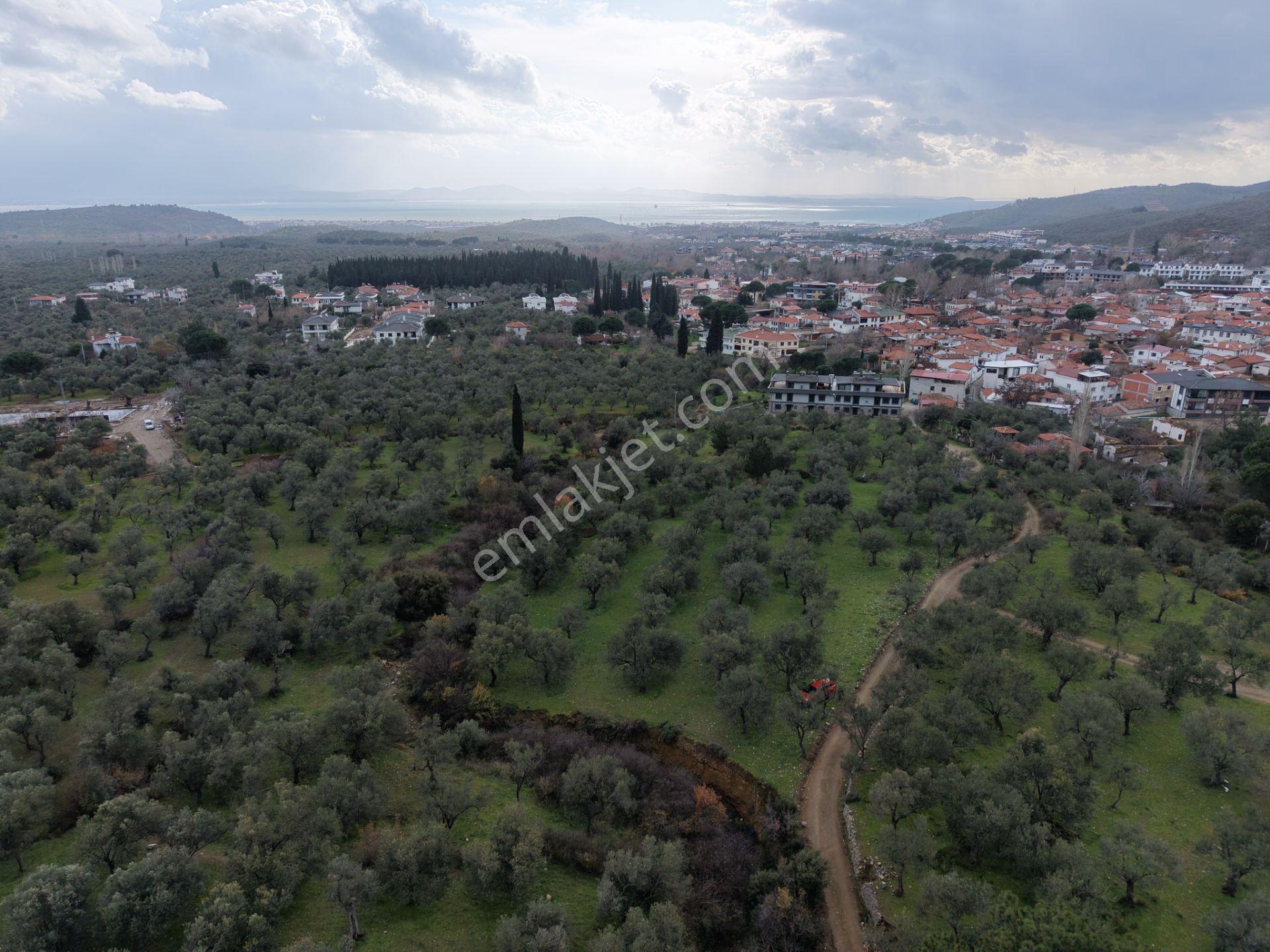 ▀▄mera Emlaktan Kazdağları Güre Mah. 2 Villalık 462m2 Net Arsa - Görsel 11
