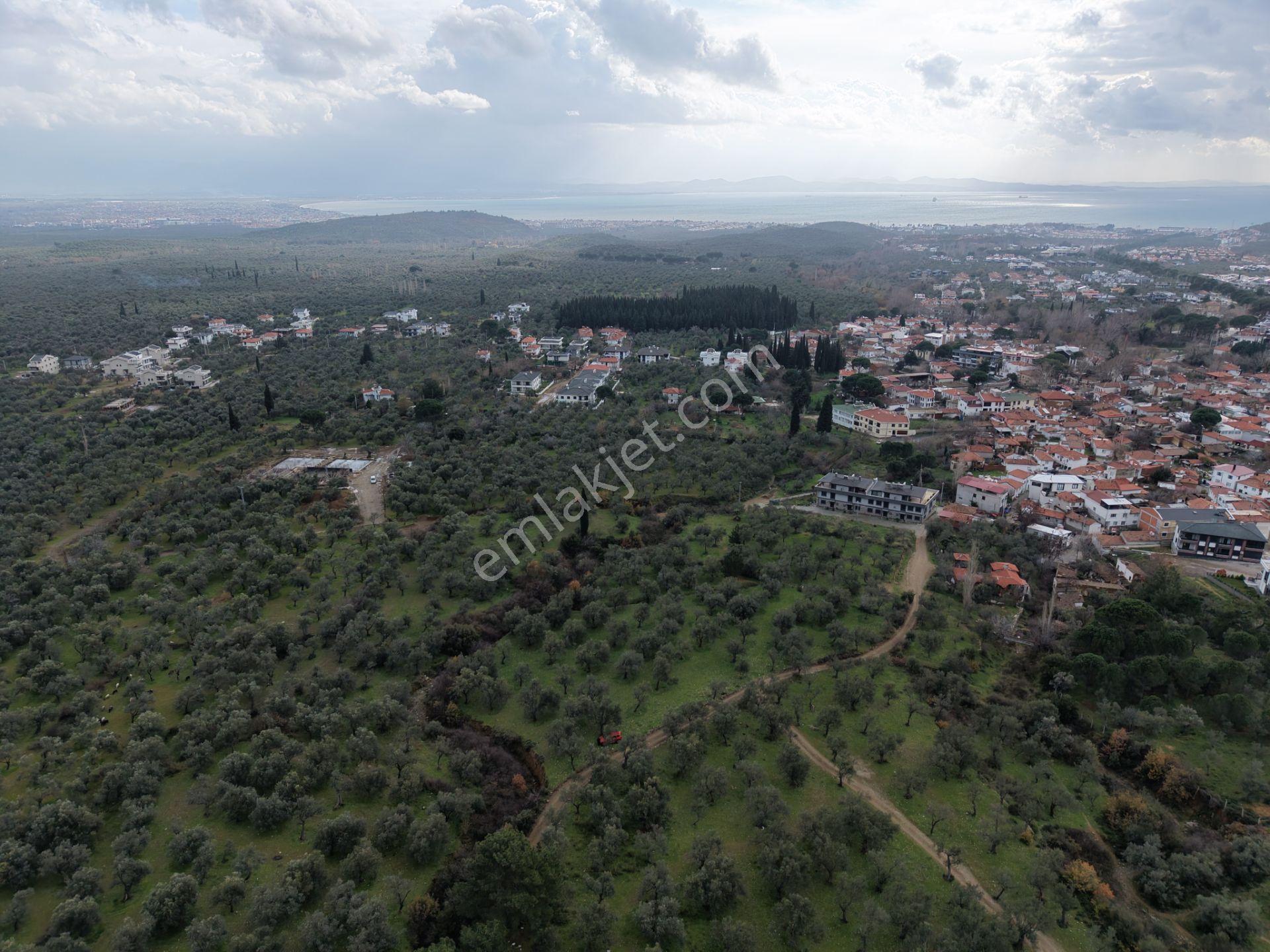 ▀▄mera Emlaktan Kazdağları Güre Mah. 2 Villalık 462m2 Net Arsa - Görsel 17