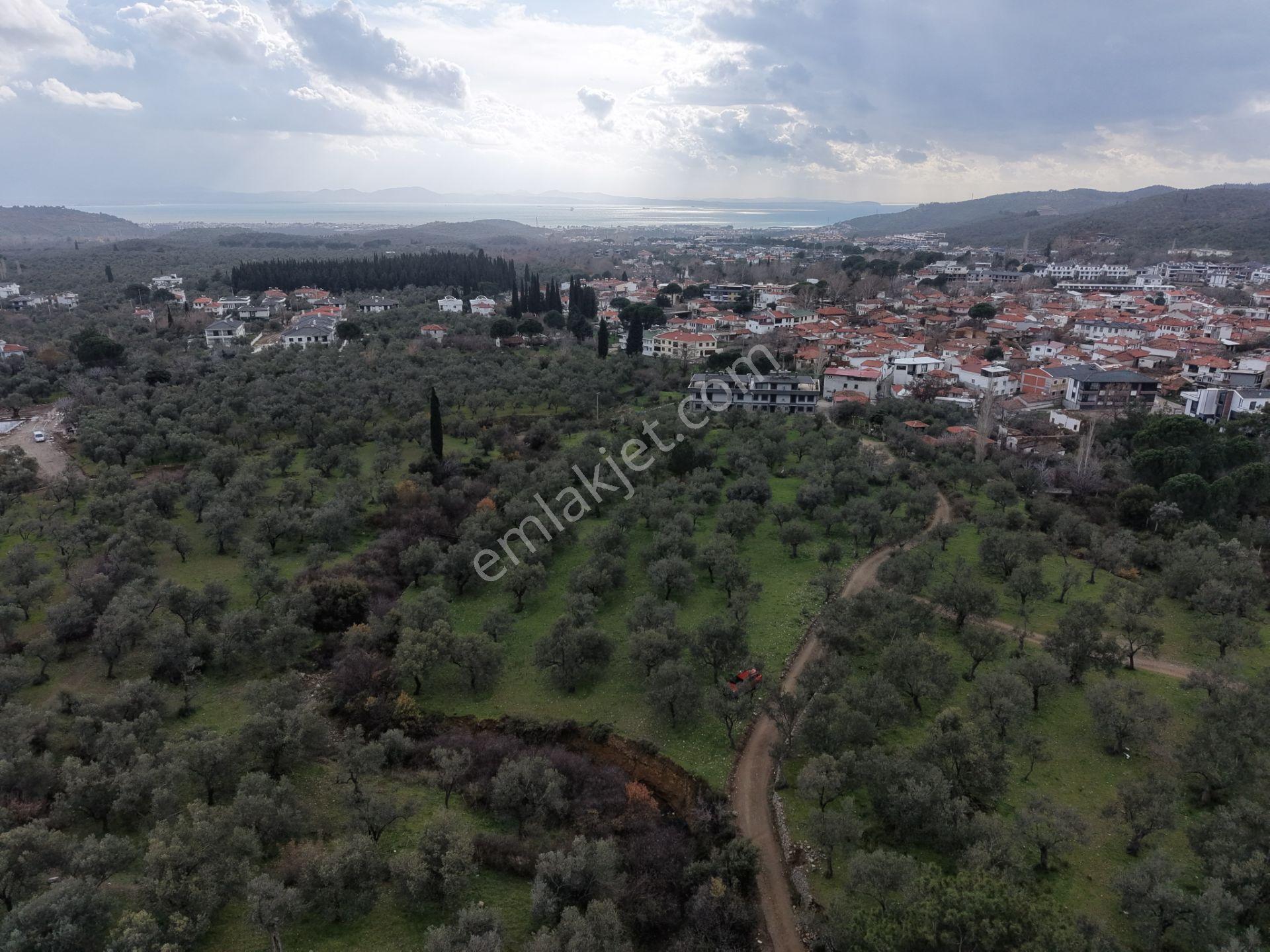 ▀▄mera Emlaktan Kazdağları Güre Mah. 2 Villalık 462m2 Net Arsa - Görsel 9