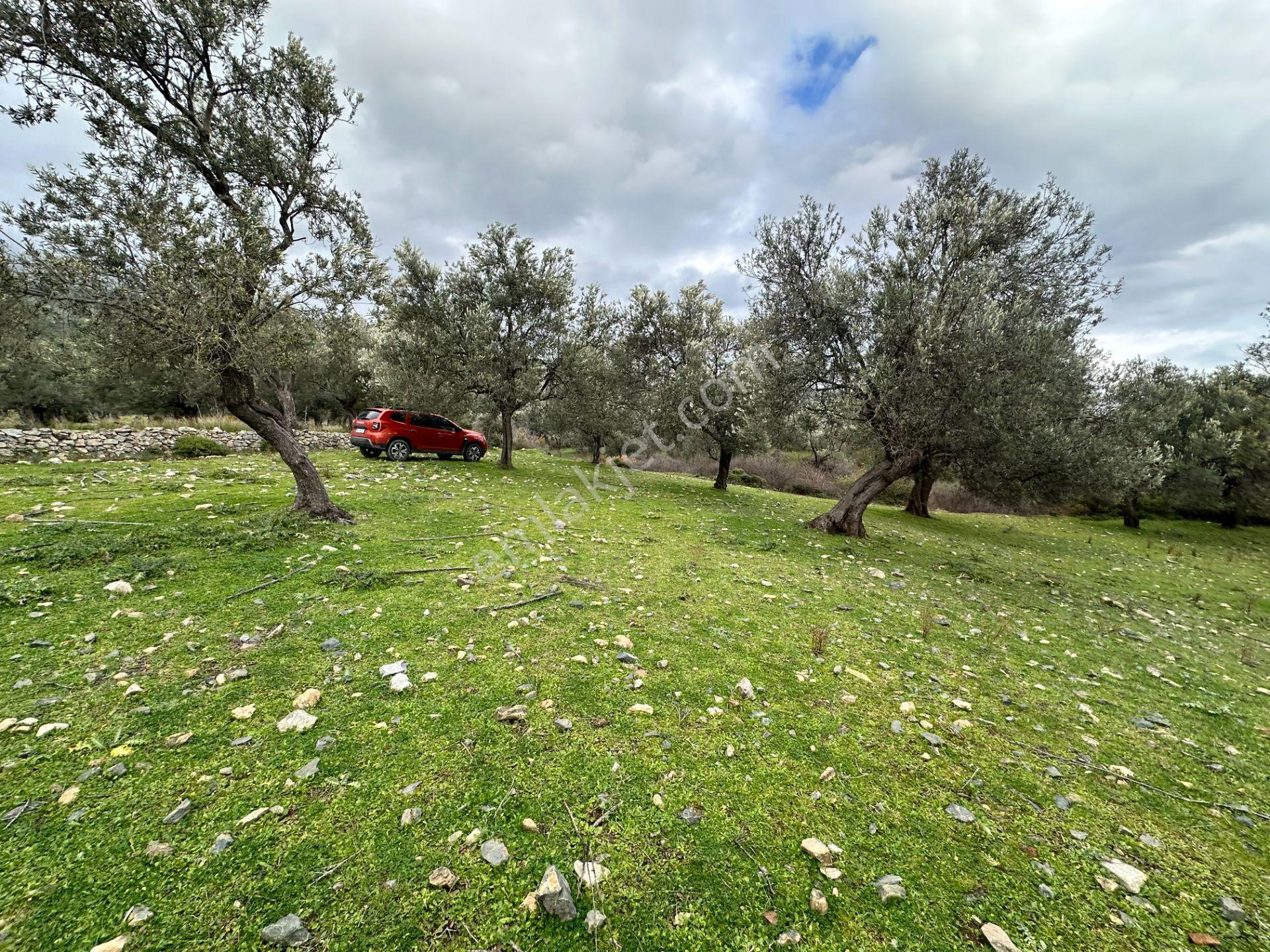 ▀▄mera Emlaktan Kazdağları Güre Mah. 2 Villalık 462m2 Net Arsa - Görsel 31