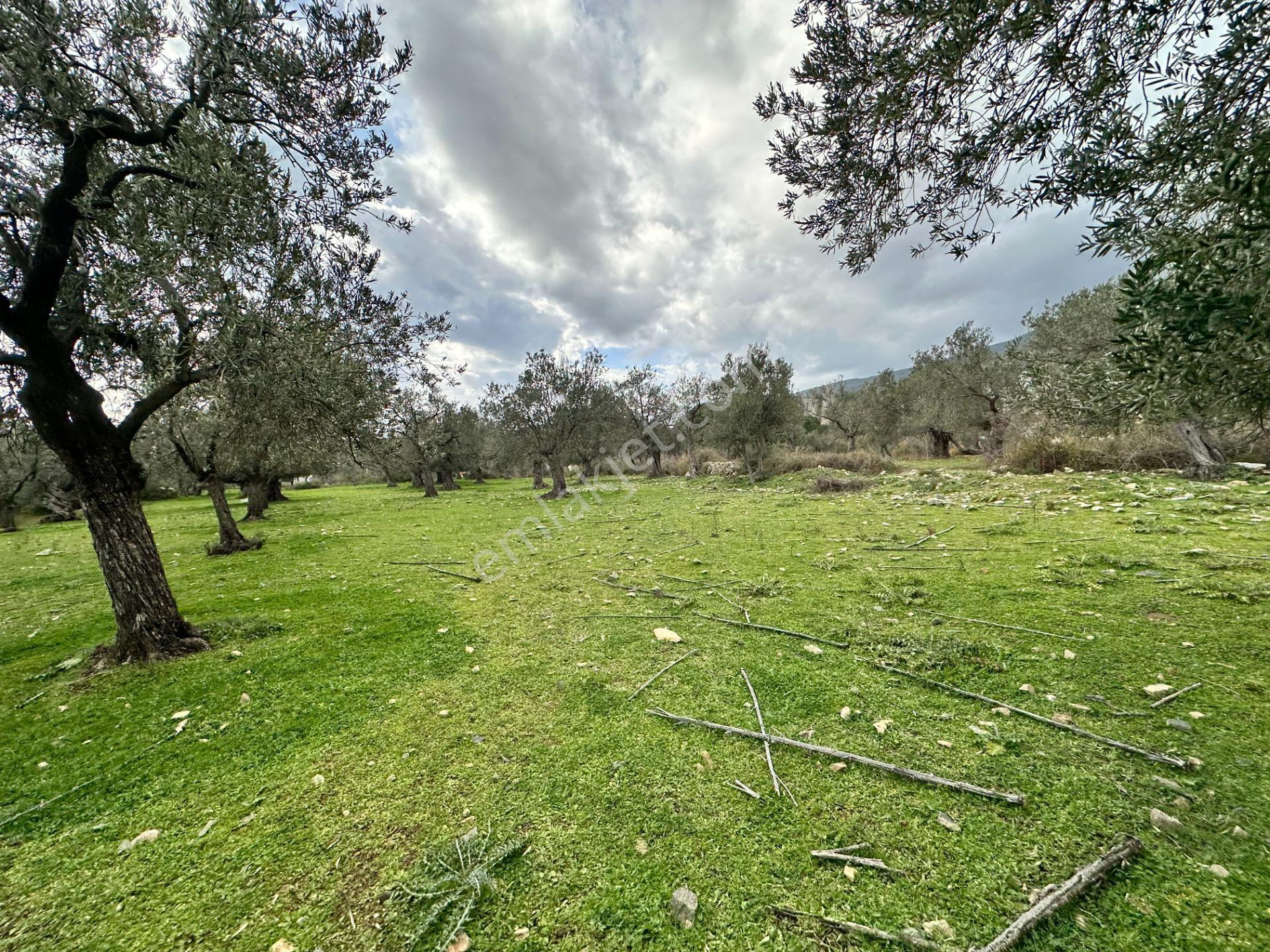 ▀▄mera Emlaktan Kazdağları Güre Mah. 2 Villalık 462m2 Net Arsa - Görsel 30