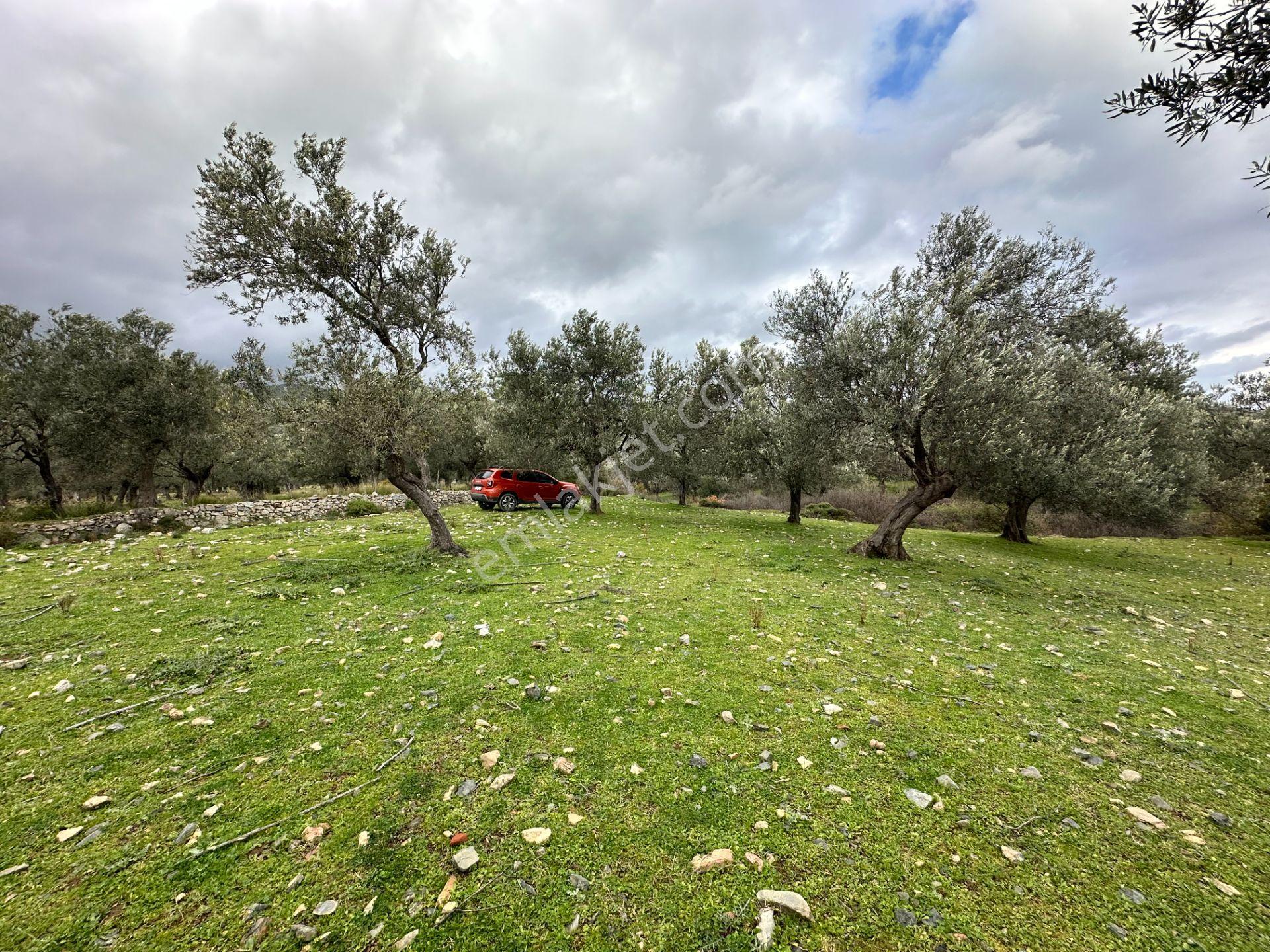 ▀▄mera Emlaktan Kazdağları Güre Mah. 2 Villalık 462m2 Net Arsa - Görsel 12