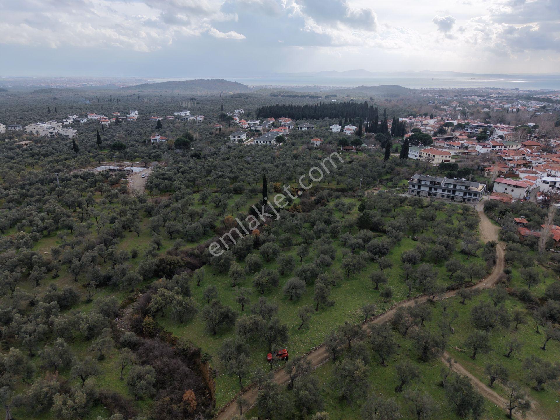 ▀▄mera Emlaktan Kazdağları Güre Mah. 2 Villalık 462m2 Net Arsa - Görsel 13